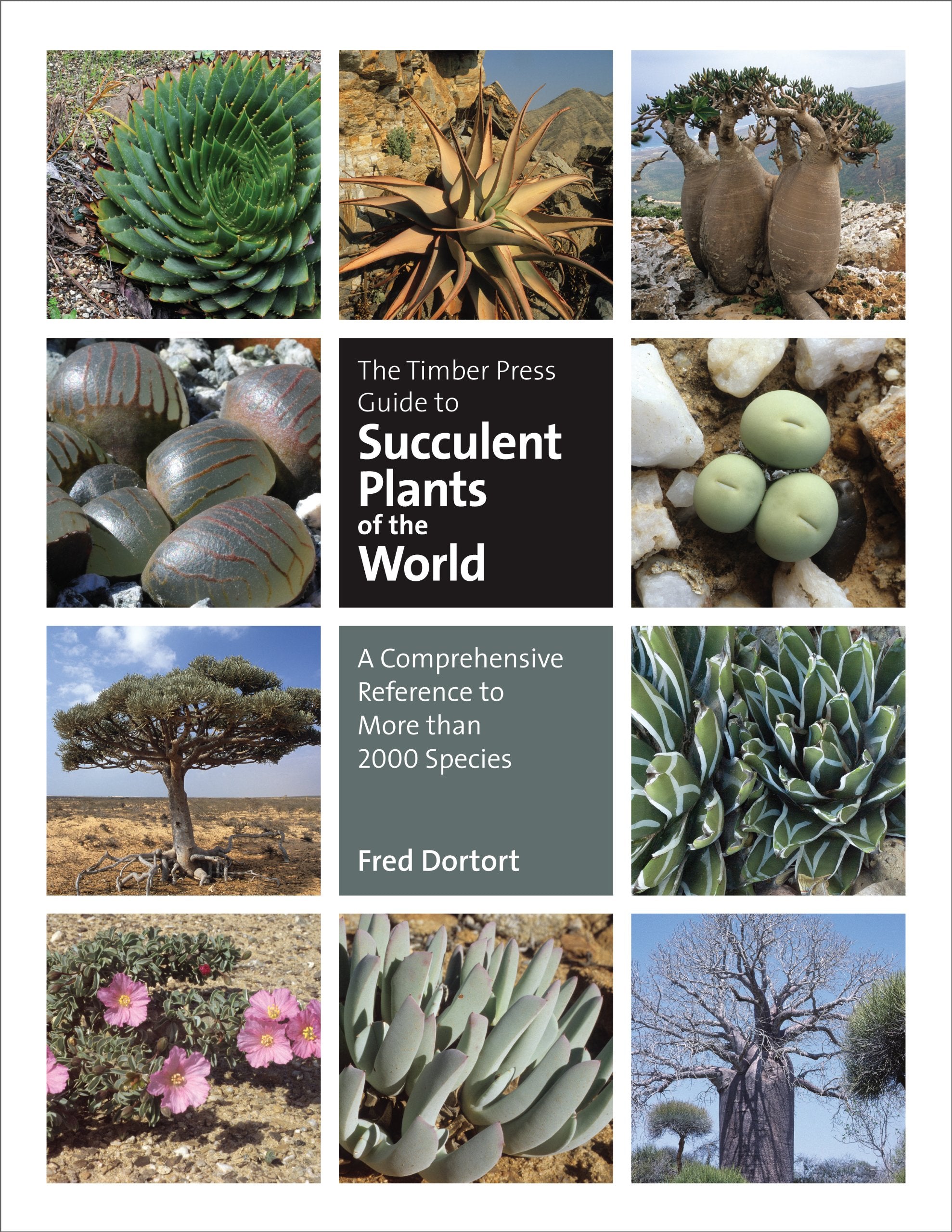 The Timber Press Guide to Succulent Plants of the World: A Comprehensive Reference to More than 2000 Species,Used