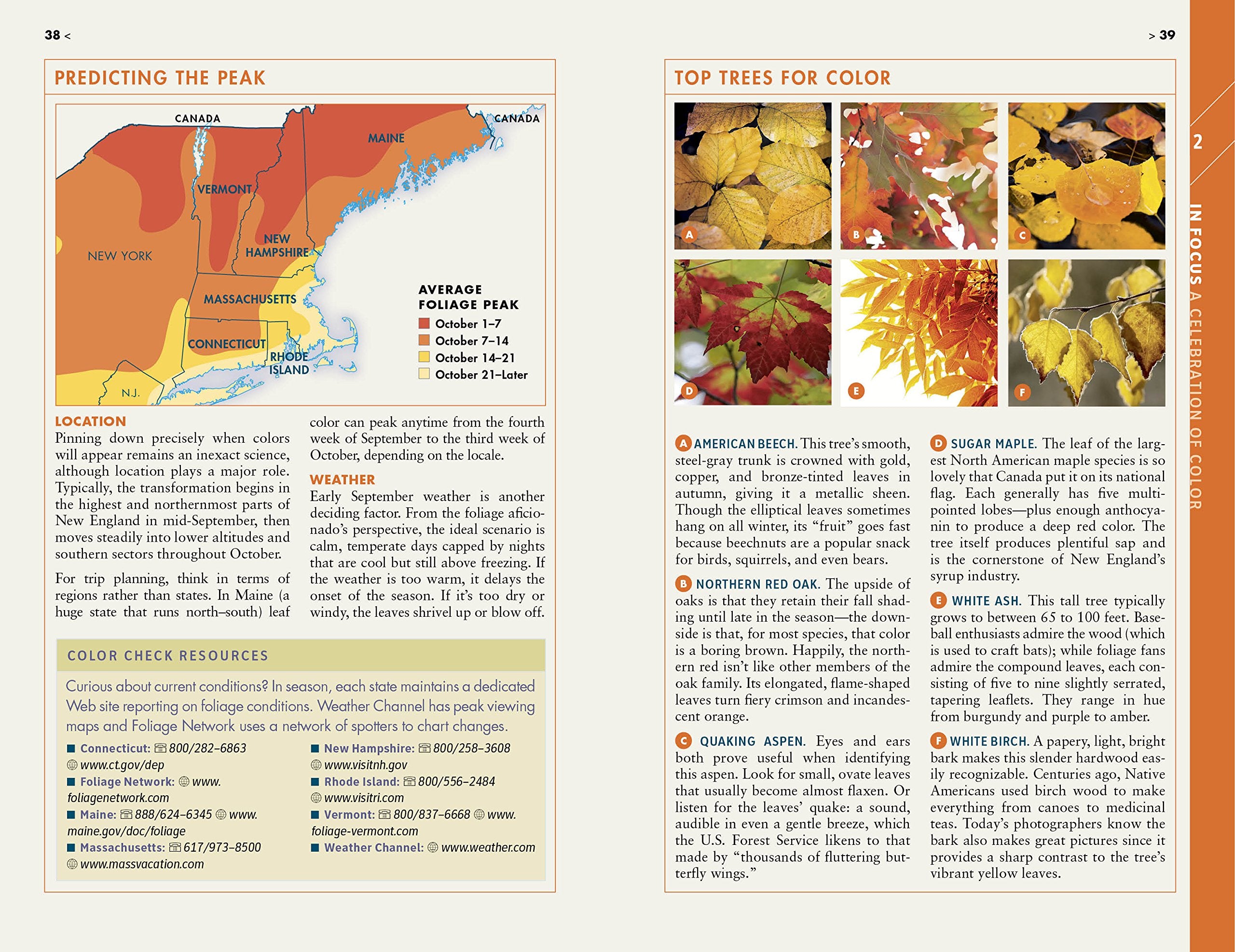 Fodor's New England: with the Best Fall Foliage Drives & Scenic Road Trips (Fullcolor Travel Guide),Used