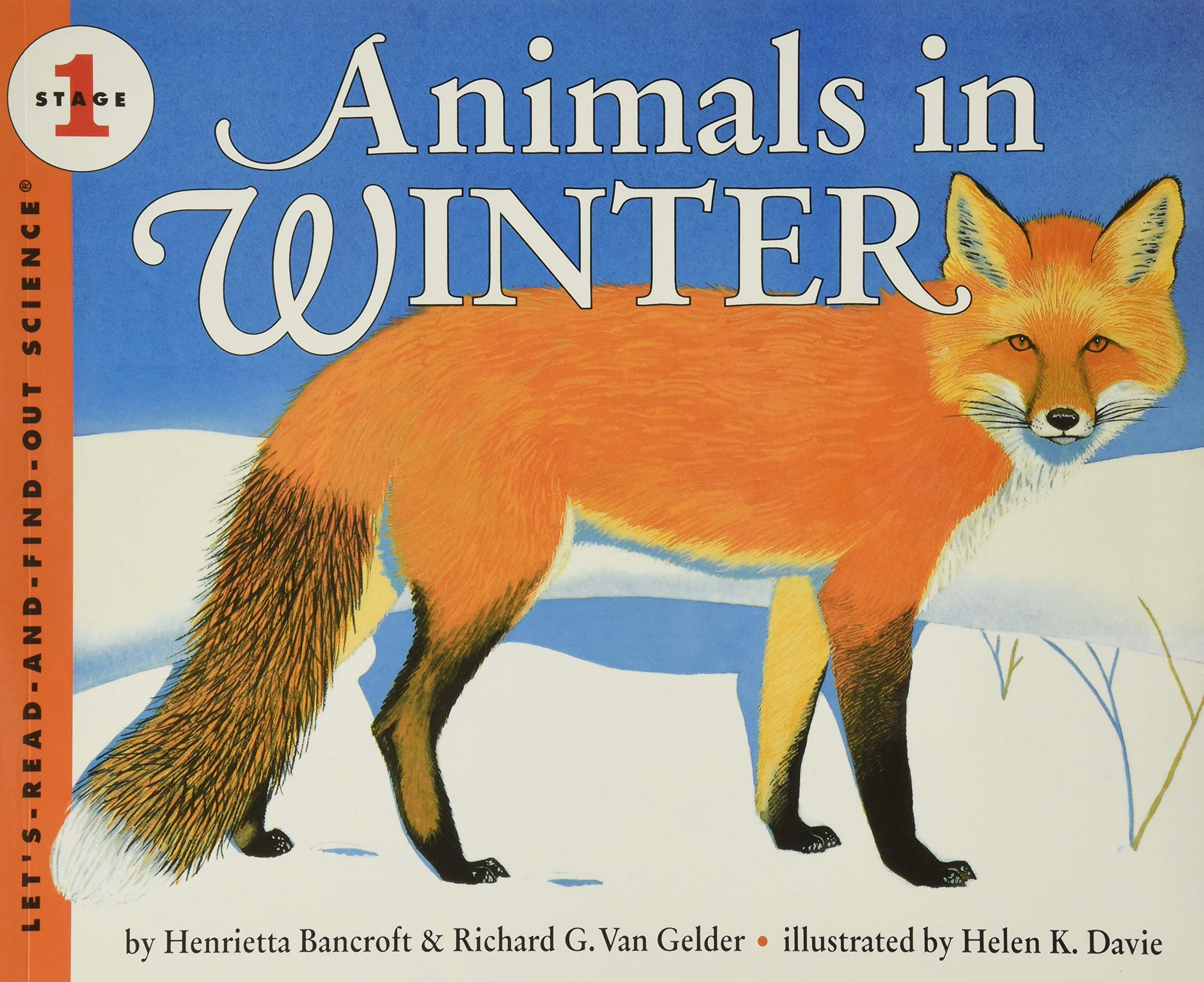 Animals In Winter (Let'Sreadandfindout Science),New