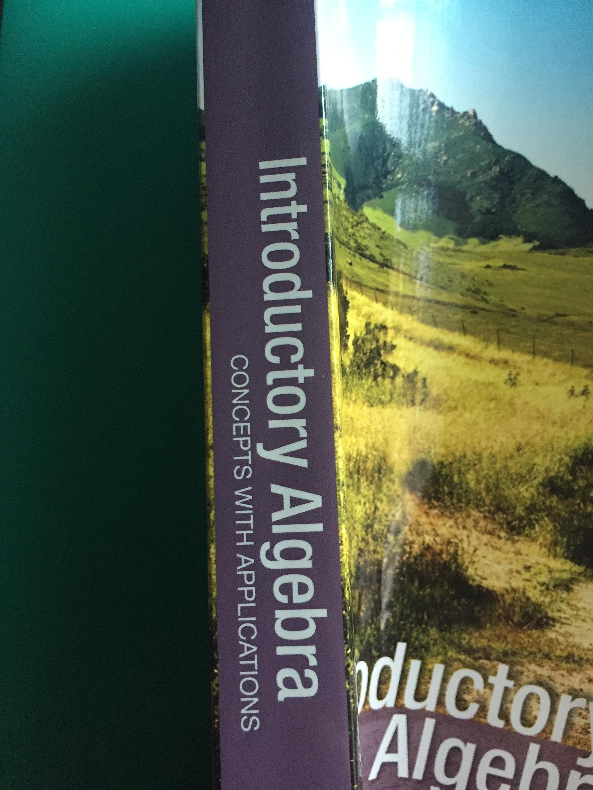 INTRODUCTORY ALGEBRA:CONCEPTS,Used
