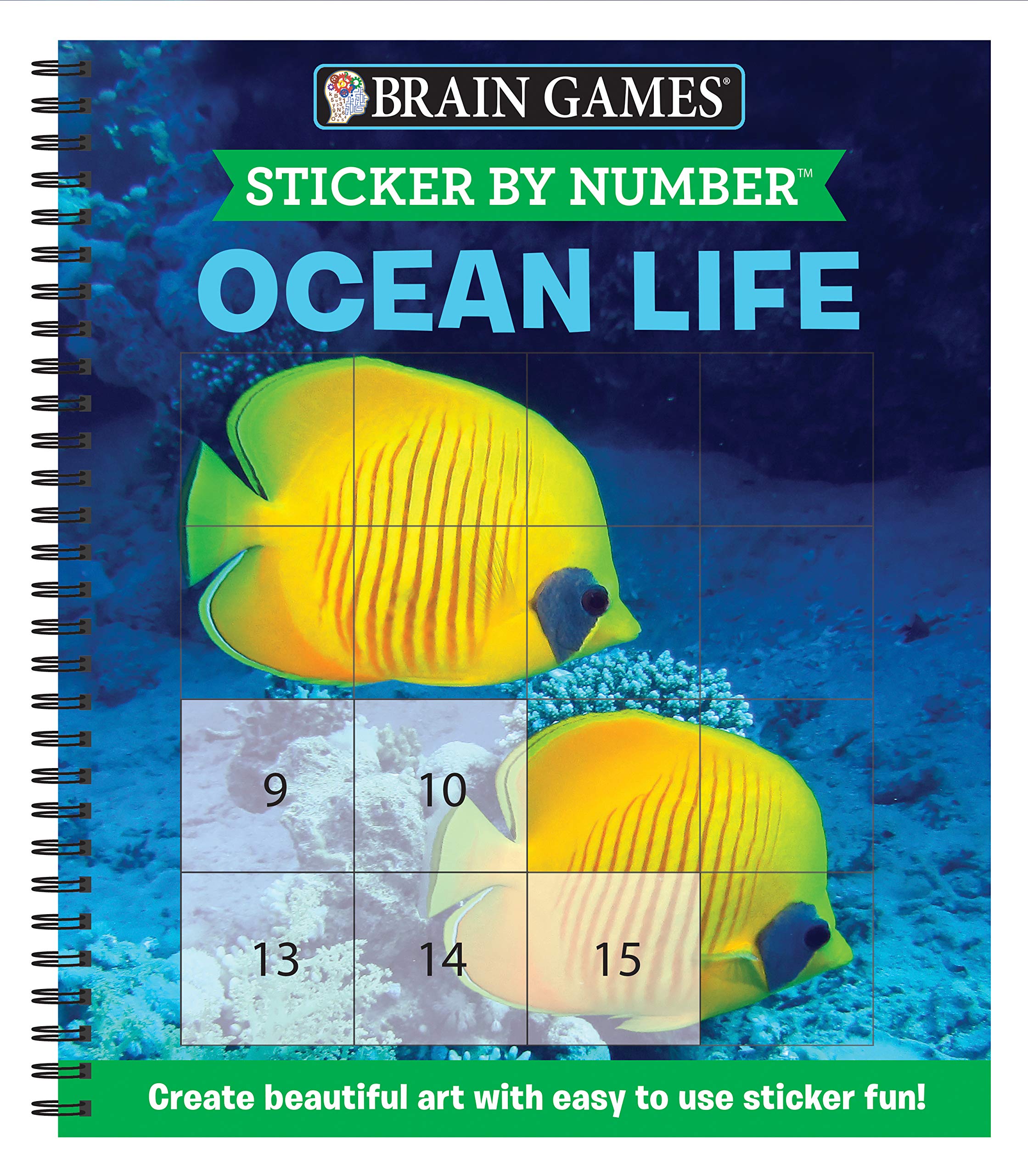 Brain Games Sticker by Number: Ocean Life (Easy Square Stickers): Create Beautiful Art With Easy to Use Sticker Fun!,Used