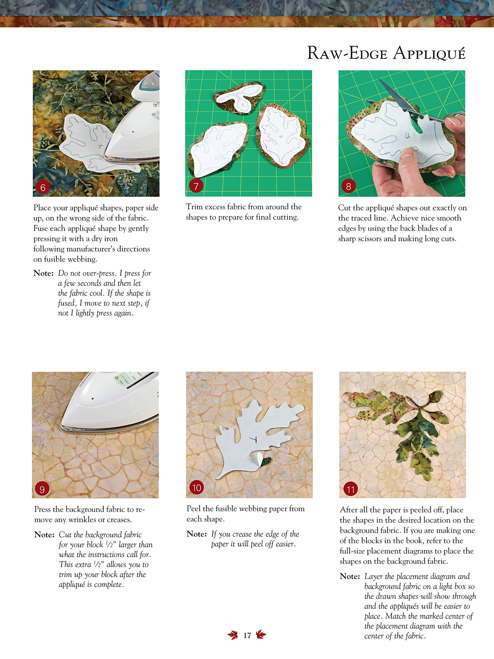 Seasonal Silhouettes: 12 Inspirational Quilt Blocks Featuring Raw Edge Applique (Landauer) Gorgeous Designs & FullSize Patterns,New
