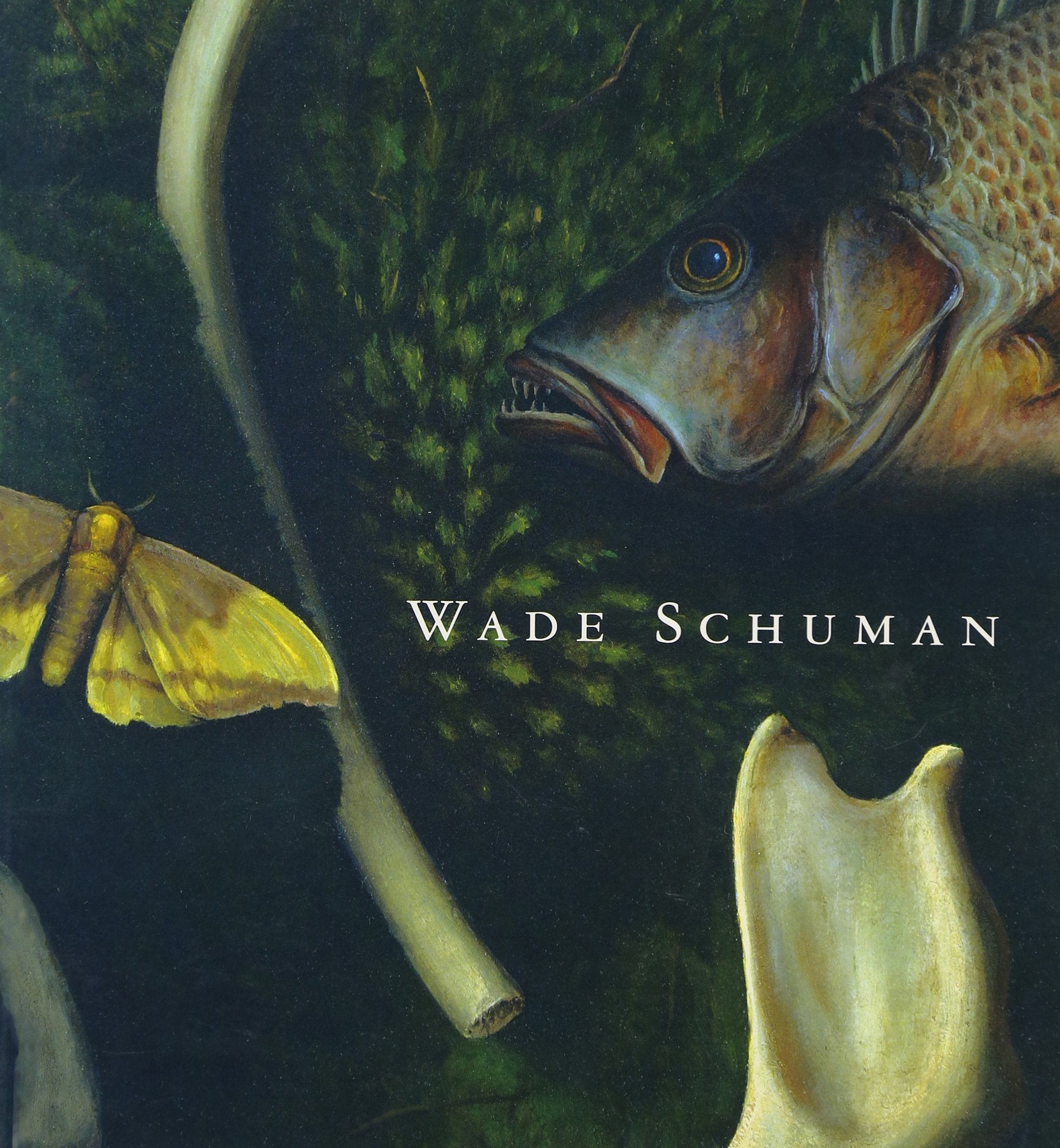 Wade Schuman: Aspects Of View,Used
