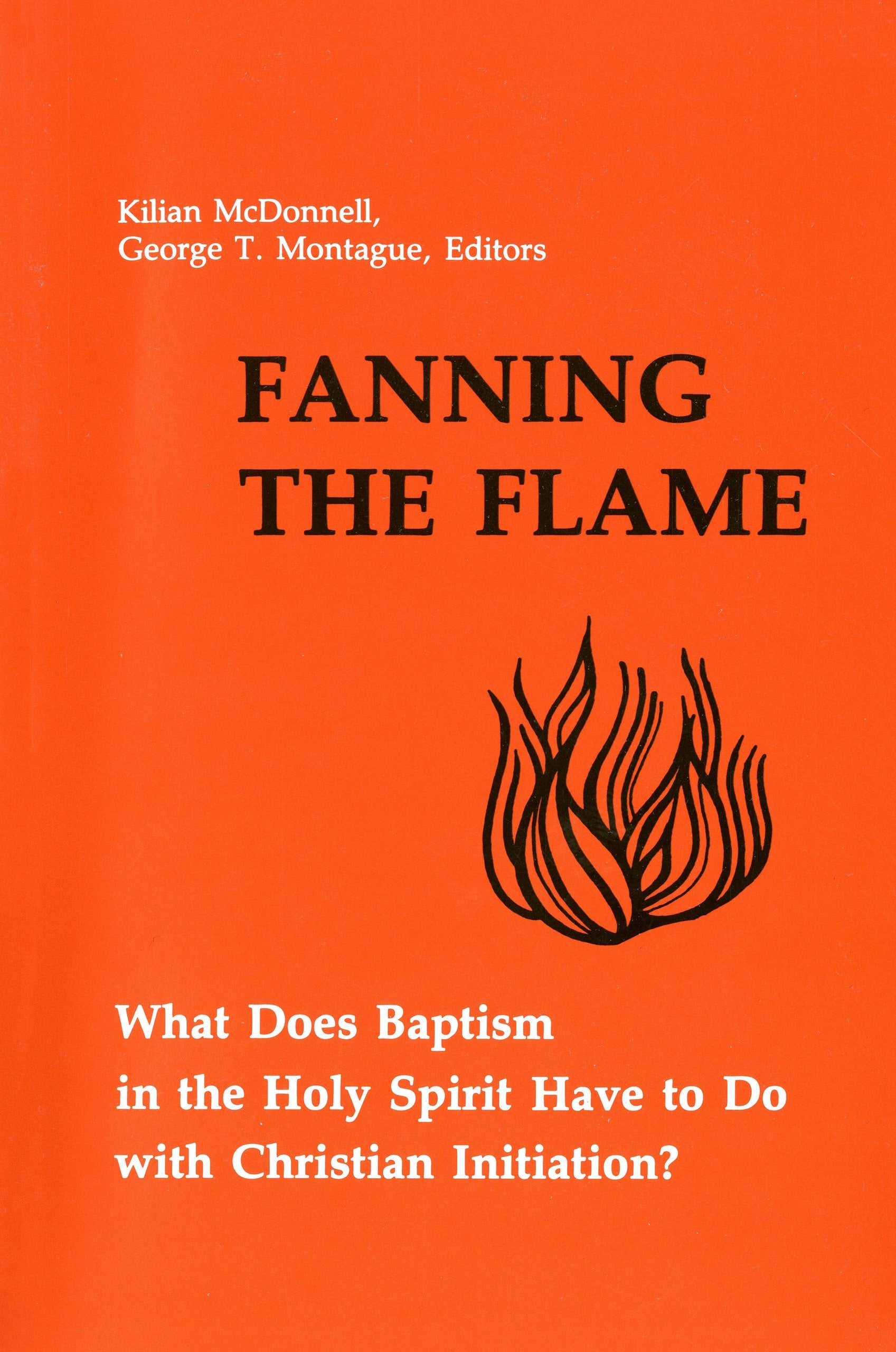 Fanning The Flame: What Does Baptism In The Holy Spirit Have To Do With Christian Initiation?,Used