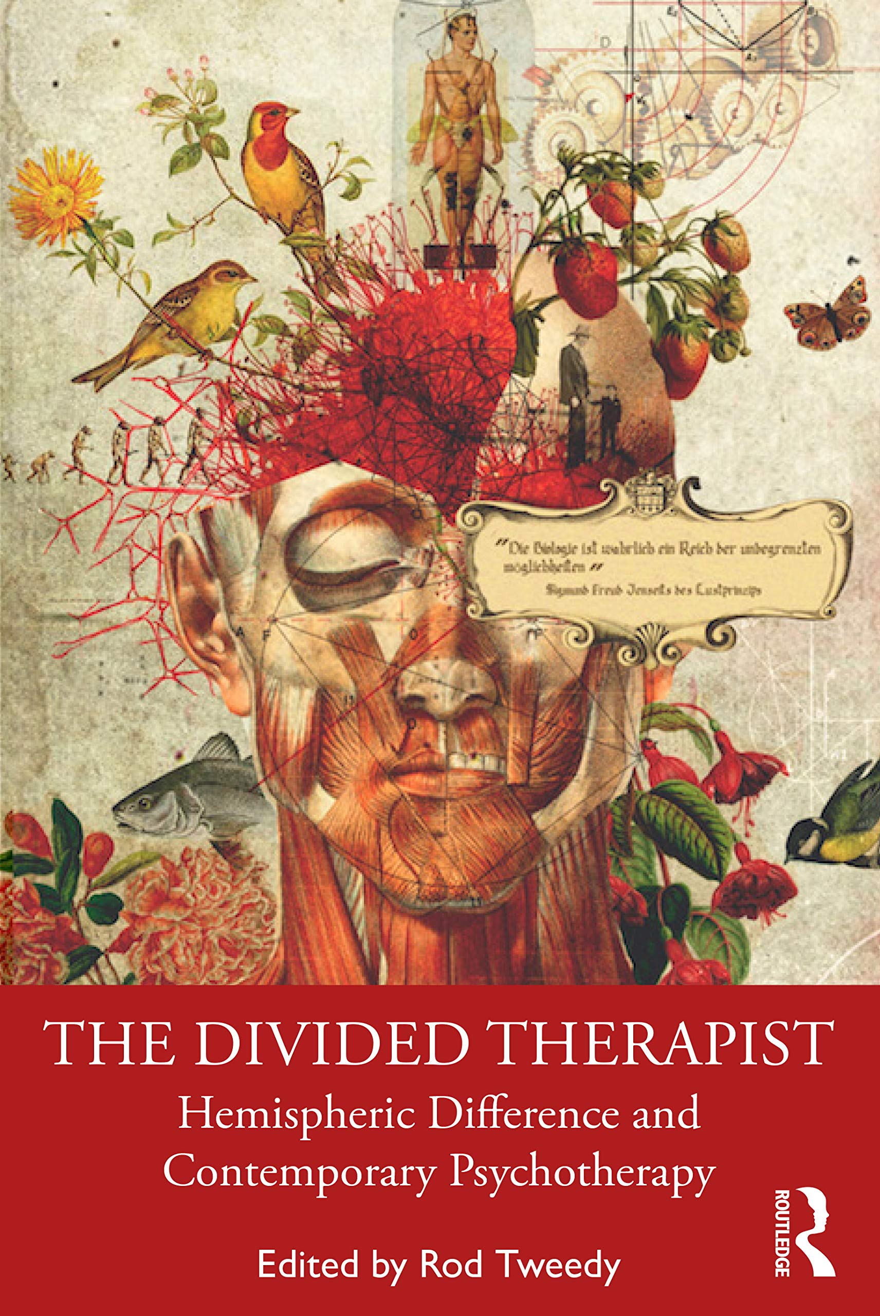 The Divided Therapist,Used