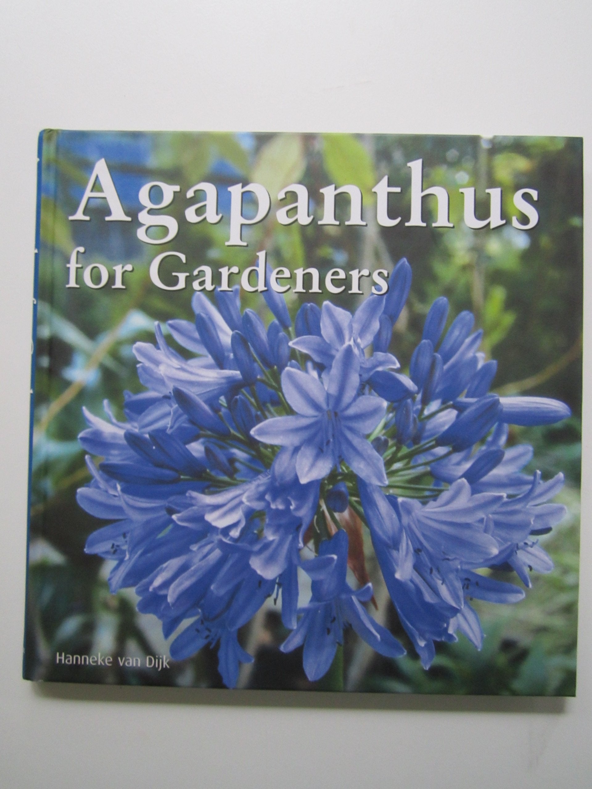 Agapanthus For Gardeners,Used
