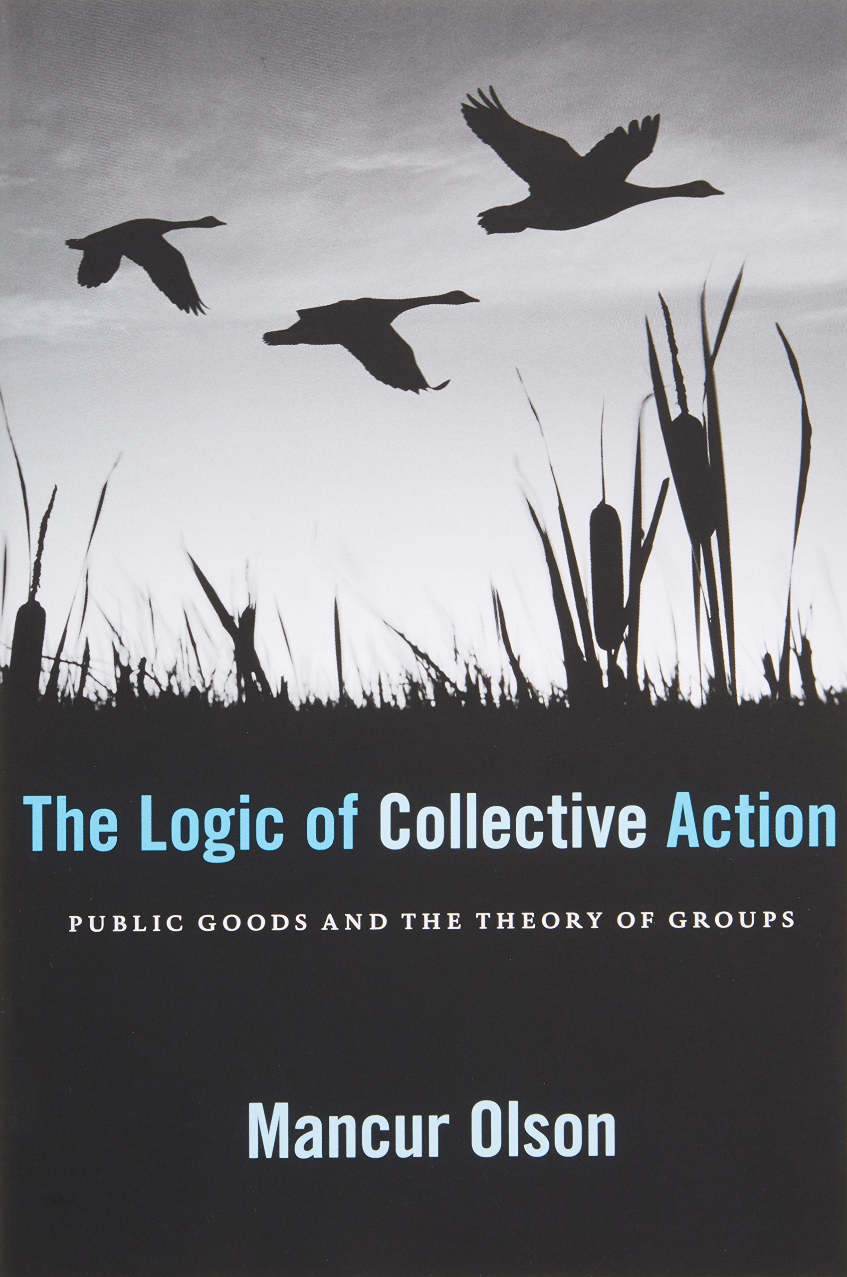 The Logic of Collective Action: Public Goods and the Theory of Groups, With a New Preface and Appendix (Harvard Economic Studies,Used