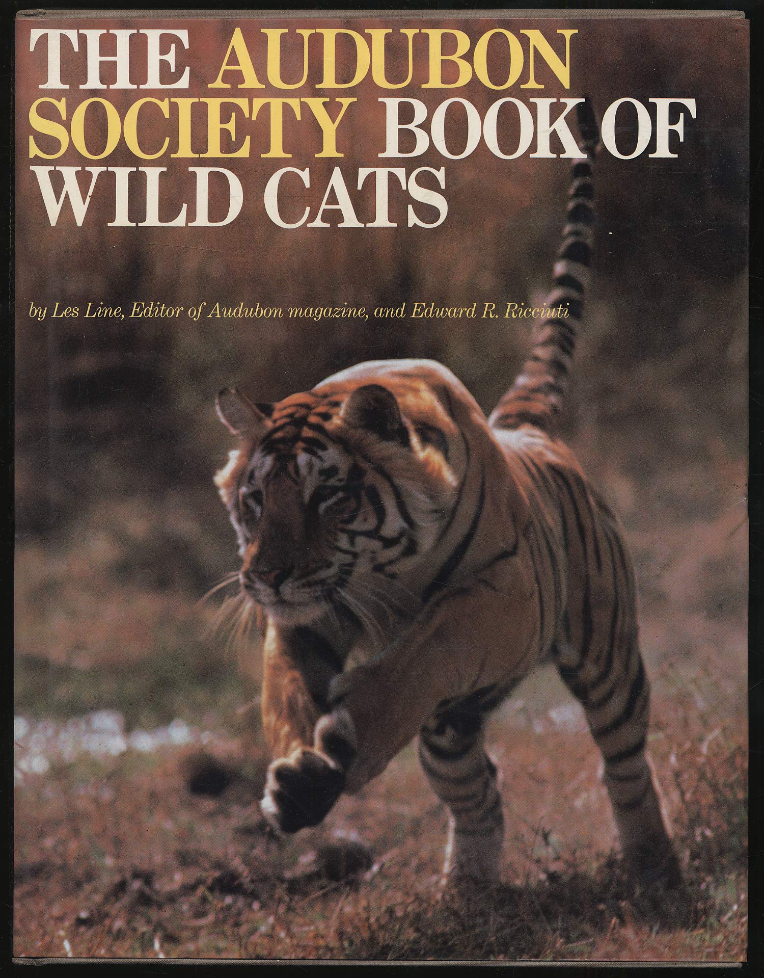 The Audubon Society Book Of Wild Cats,Used