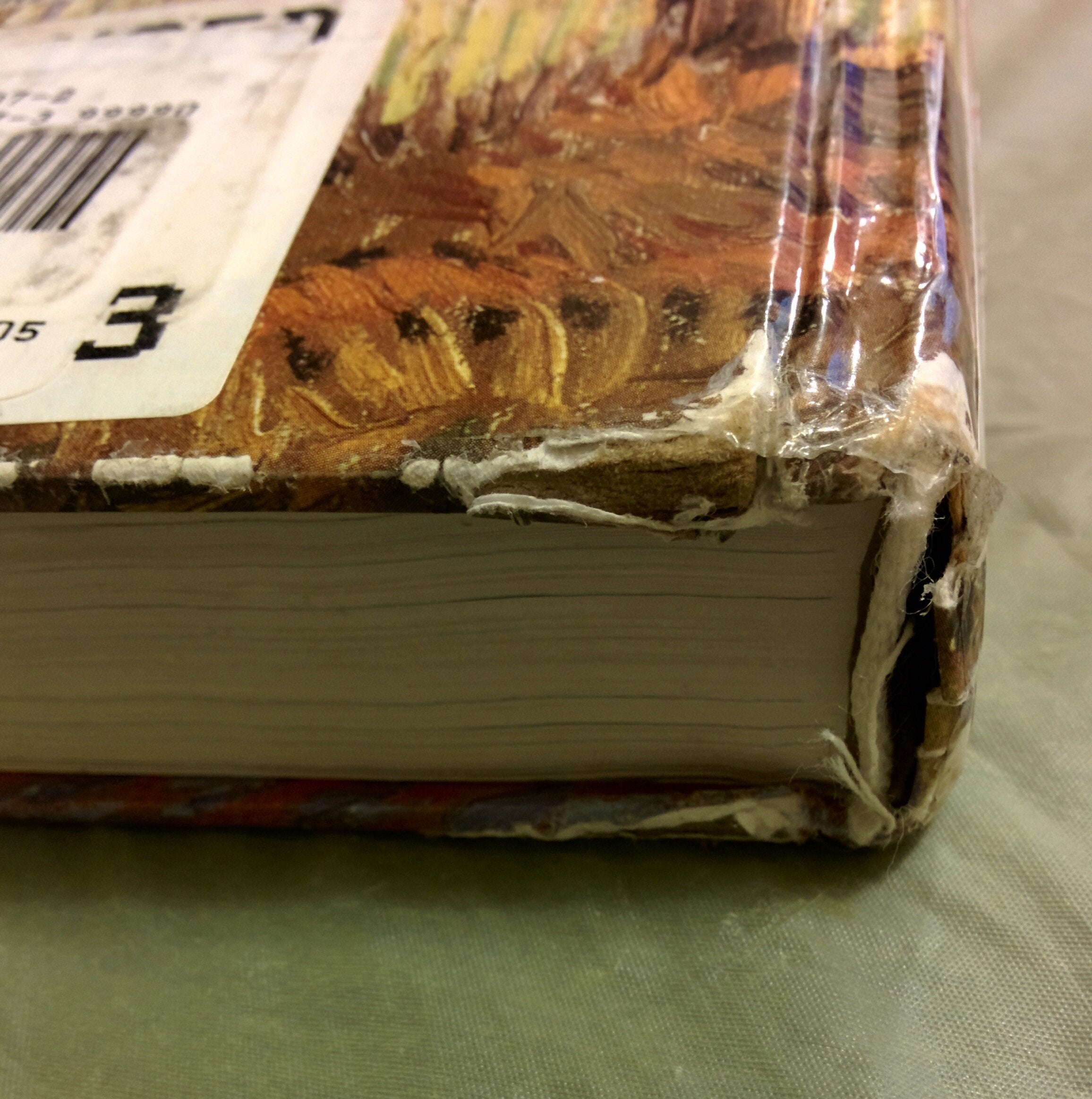 Biology of Plants, 7th Edition,Used