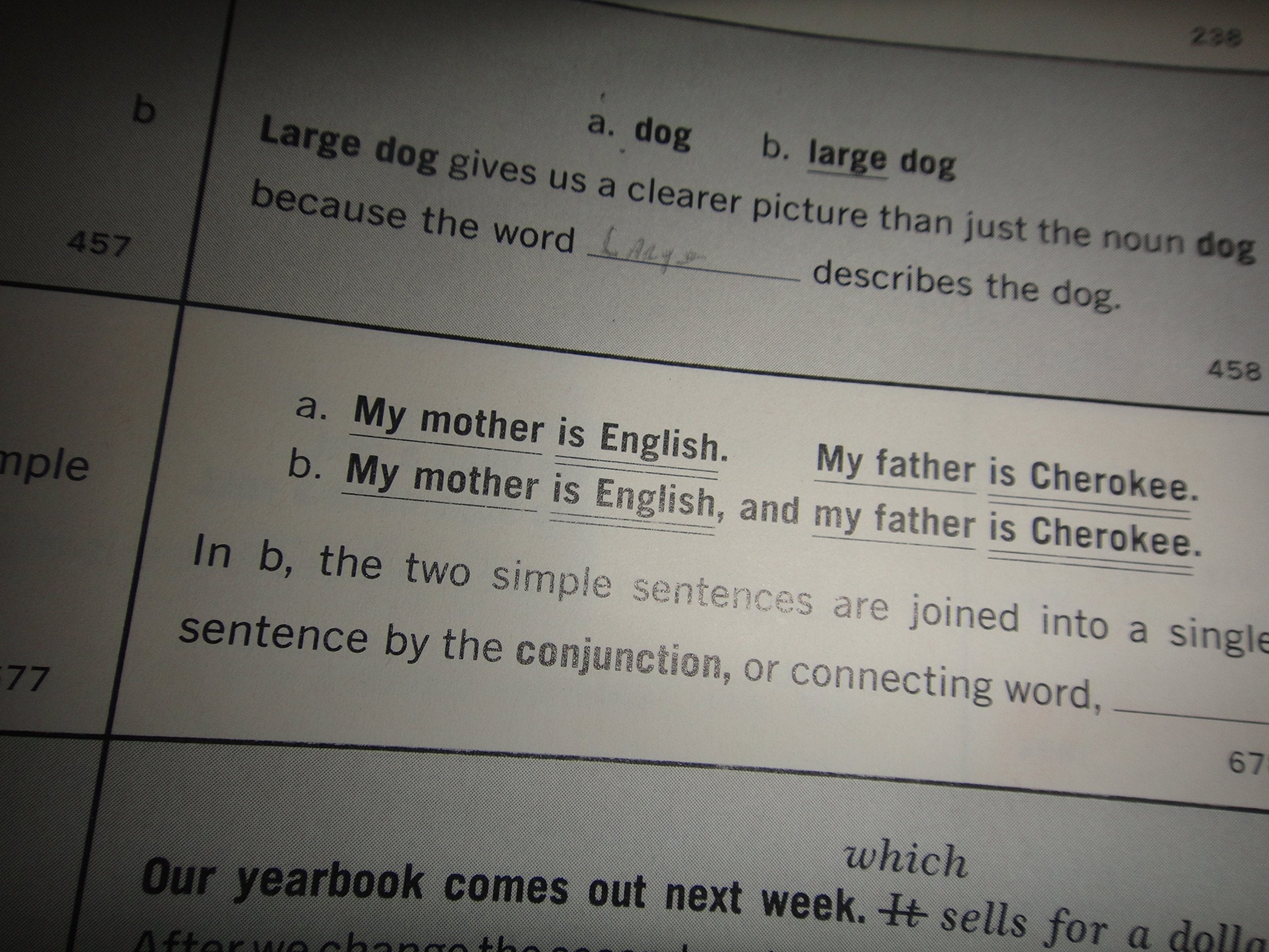 English 2600: A Programmed Course In Grammar And Usage, College Ed.