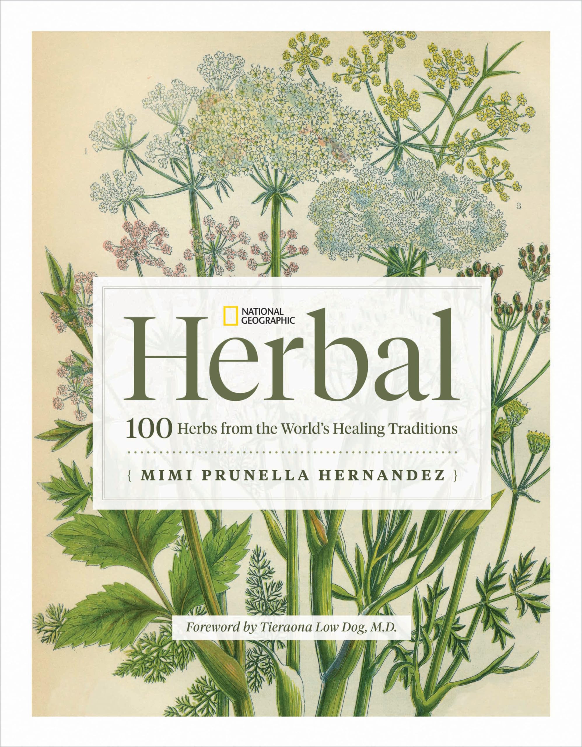 National Geographic Herbal: 100 Herbs From The World'S Healing Traditions,New