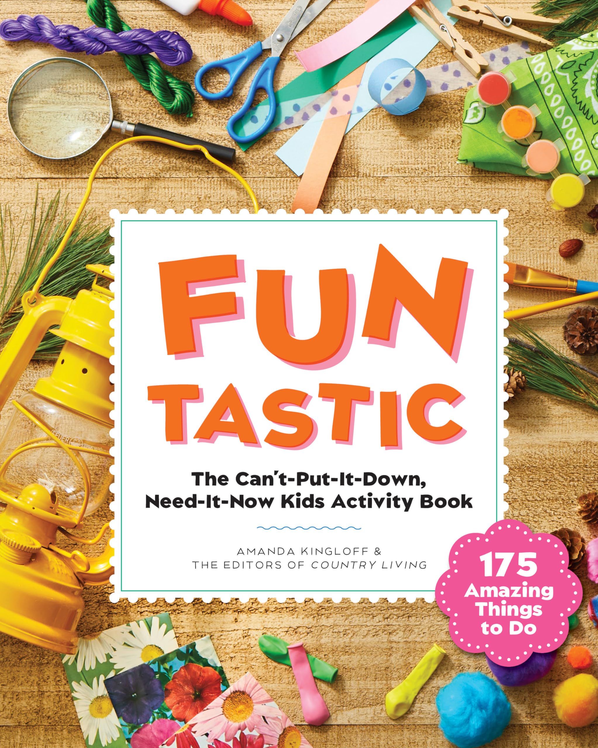 Funtastic: The Can'Tputitdown, Needitnow Activity Book,New