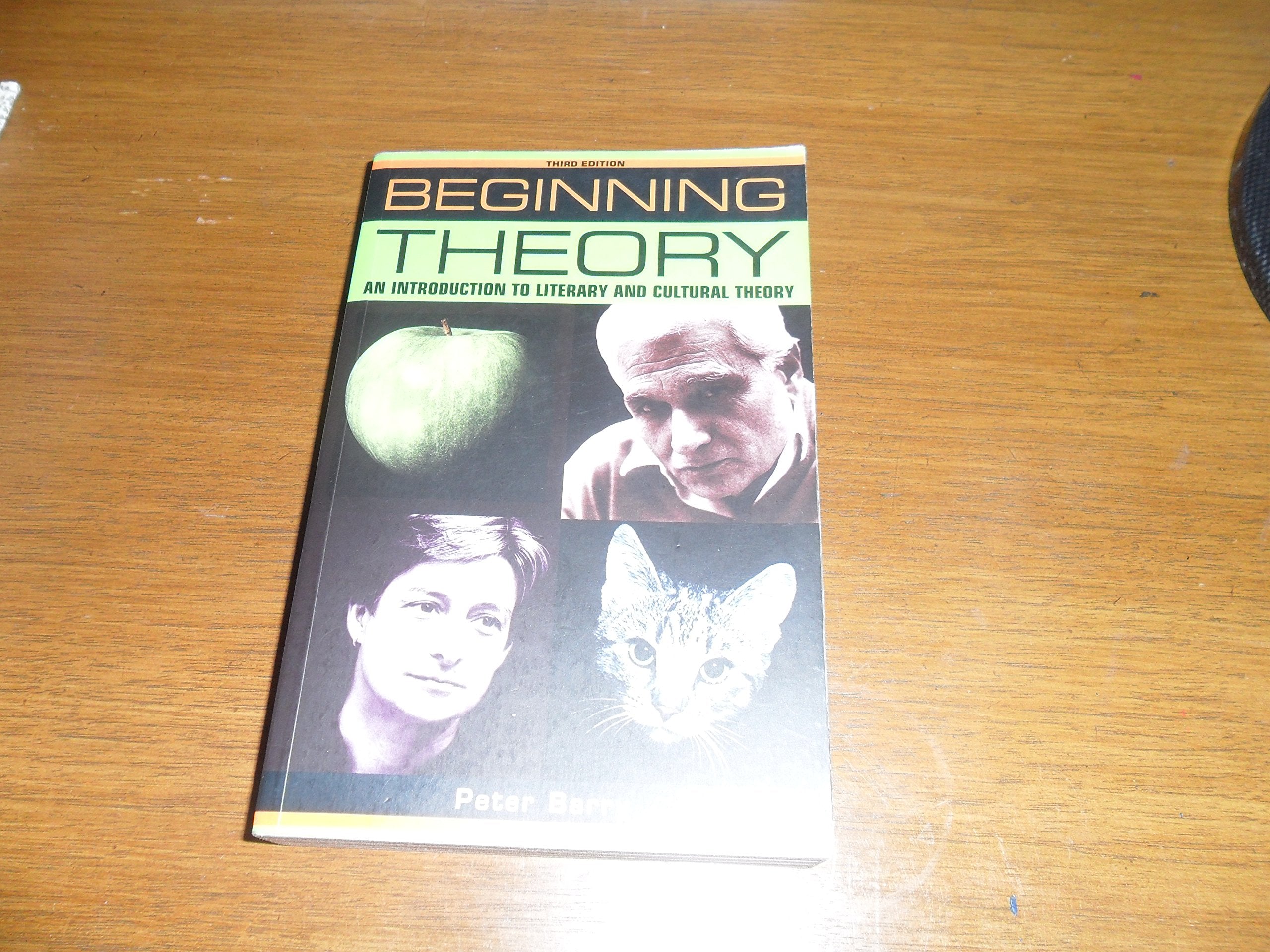 Beginning Theory: An Introduction to Literary and Cultural Theory,Used