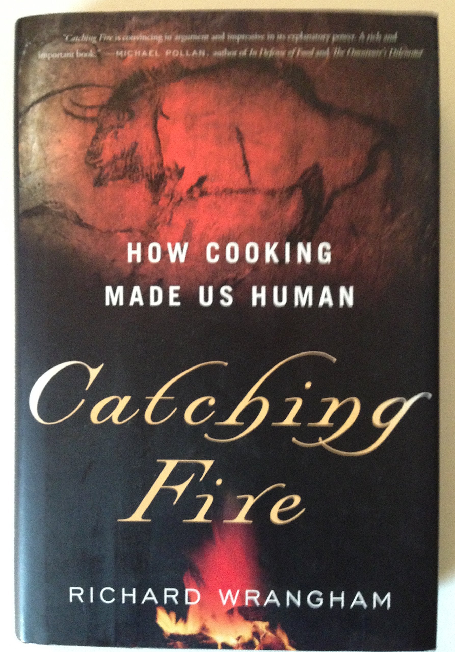 Catching Fire: How Cooking Made Us Human,Used