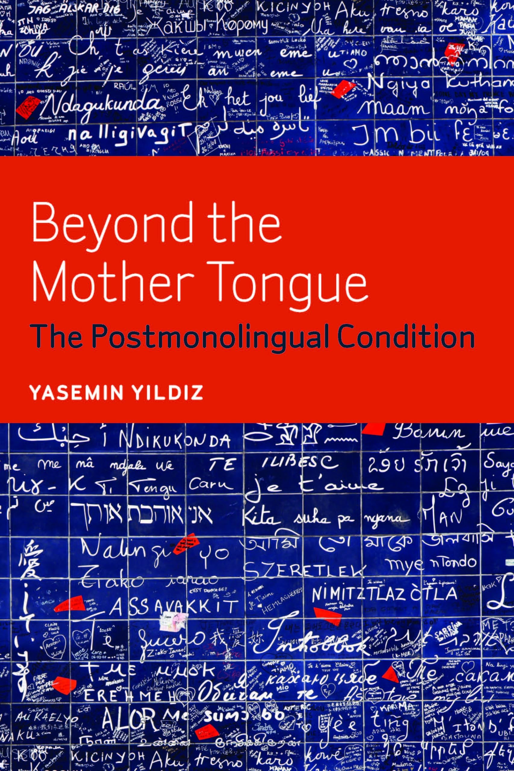 Beyond The Mother Tongue: The Postmonolingual Condition,Used