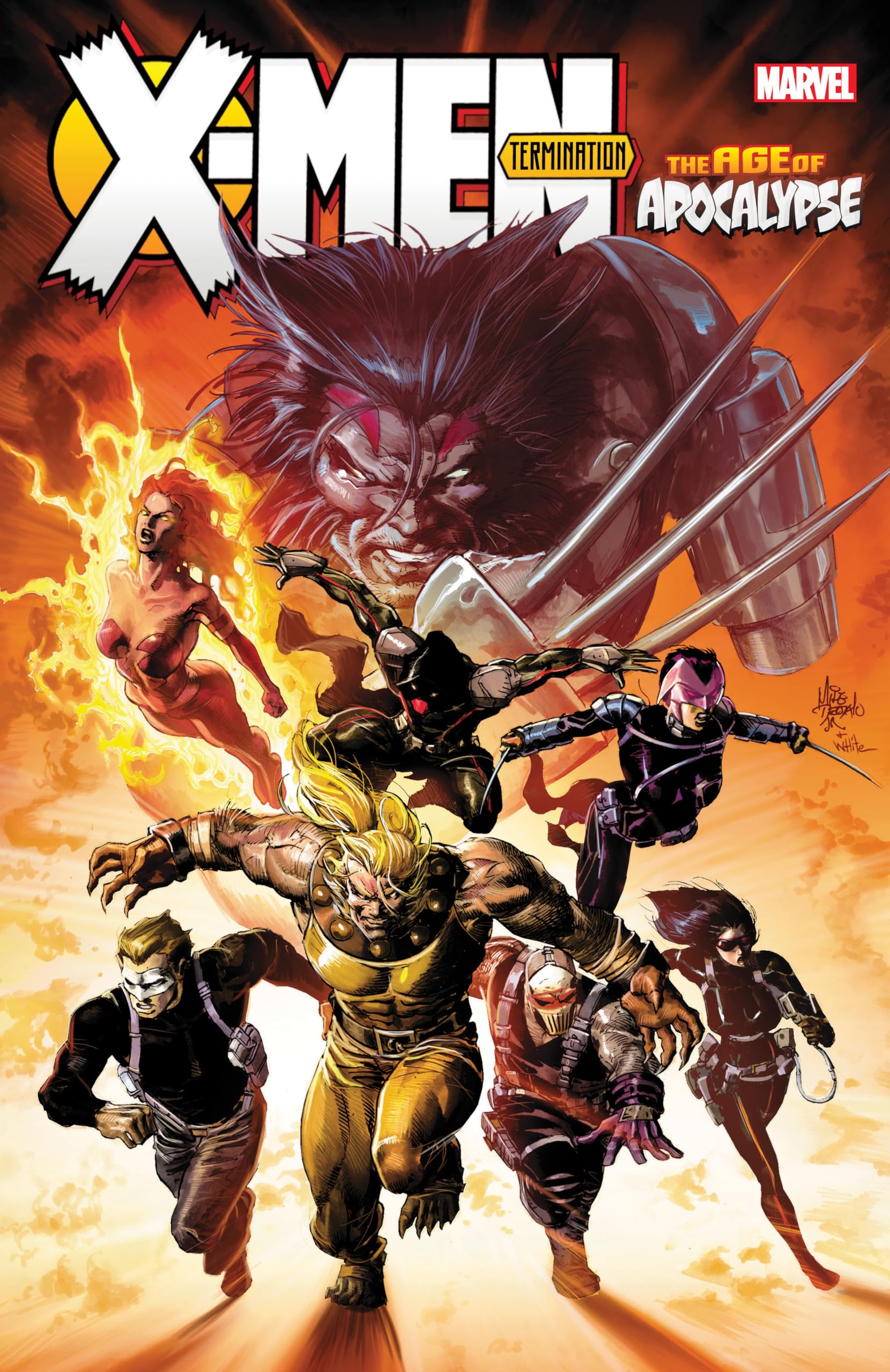 XMEN: AGE OF APOCALYPSE TERMINATION (XMen: The Age of Apocalypse),Used