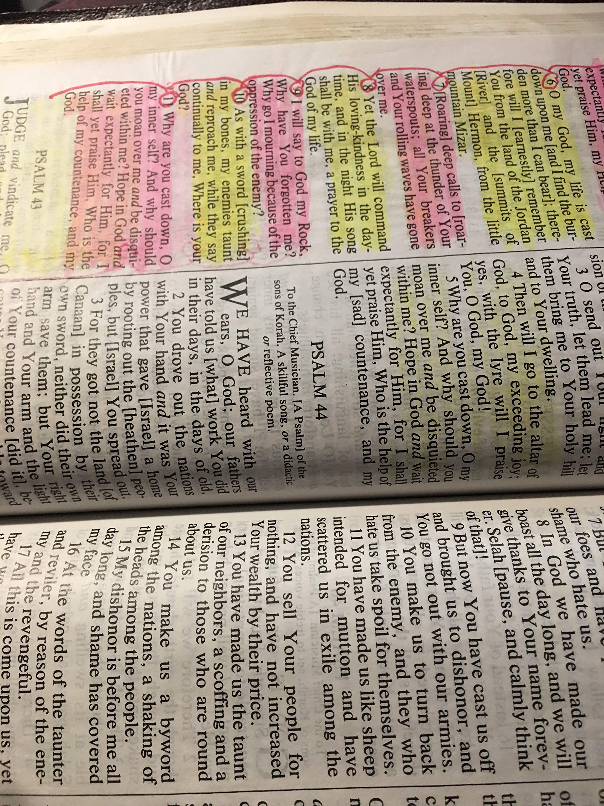 Amplified Bible, Large Print,Used