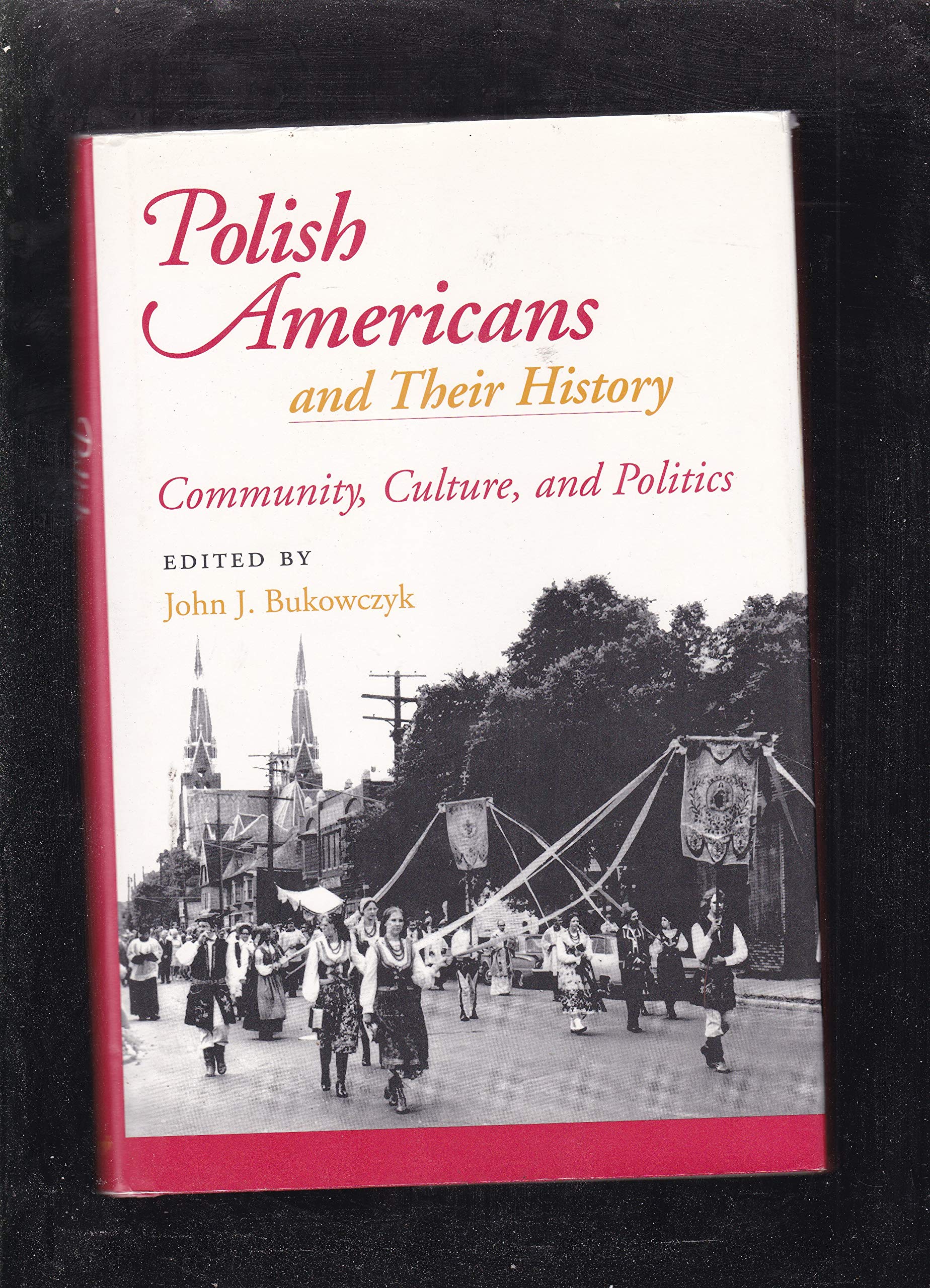 Polish Americans & Their History,Used