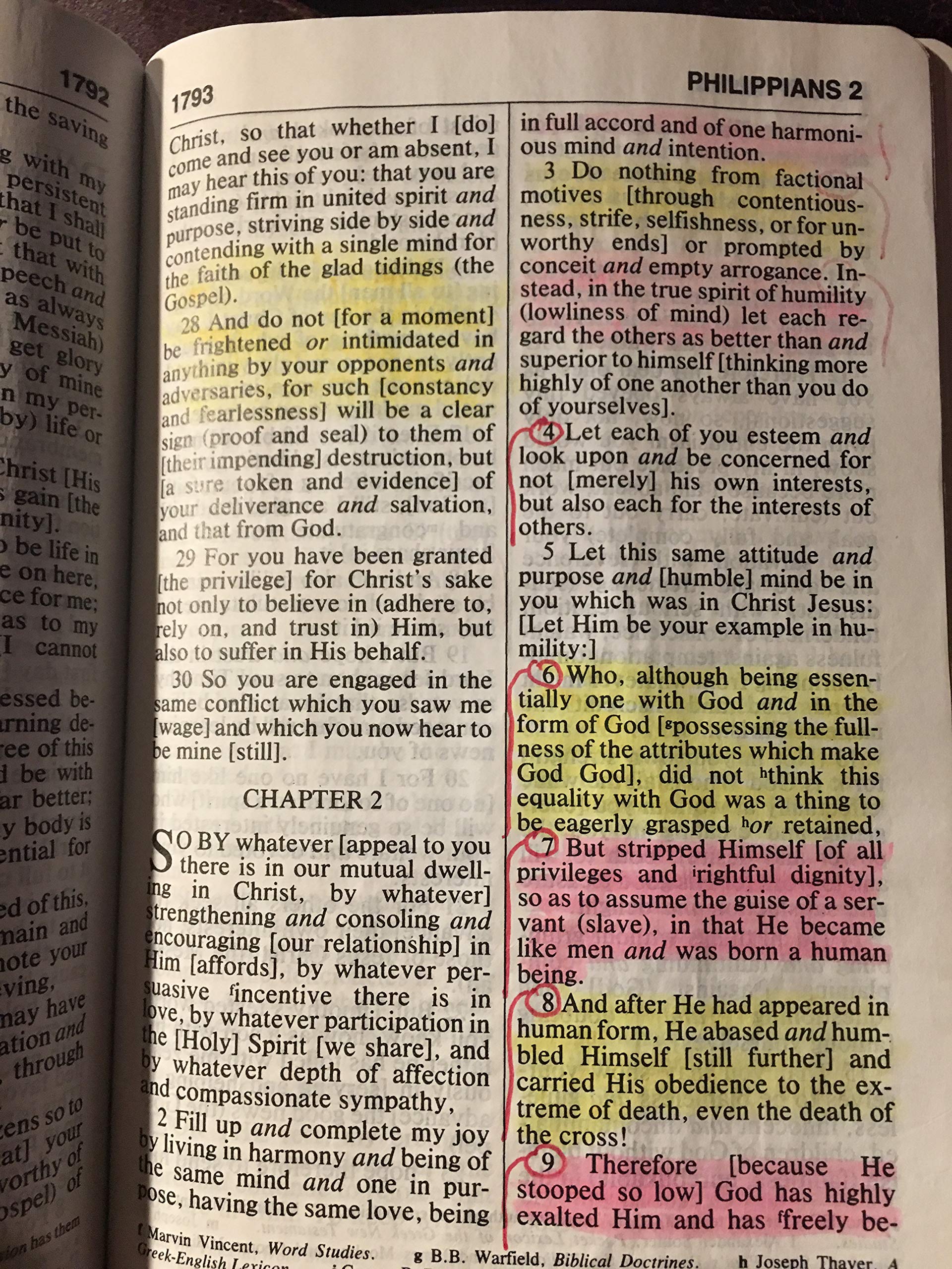 Amplified Bible, Large Print,New