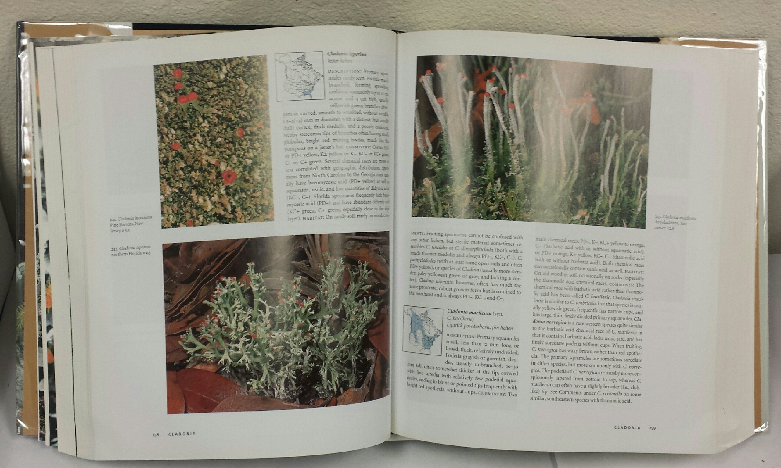 Lichens of North America,Used