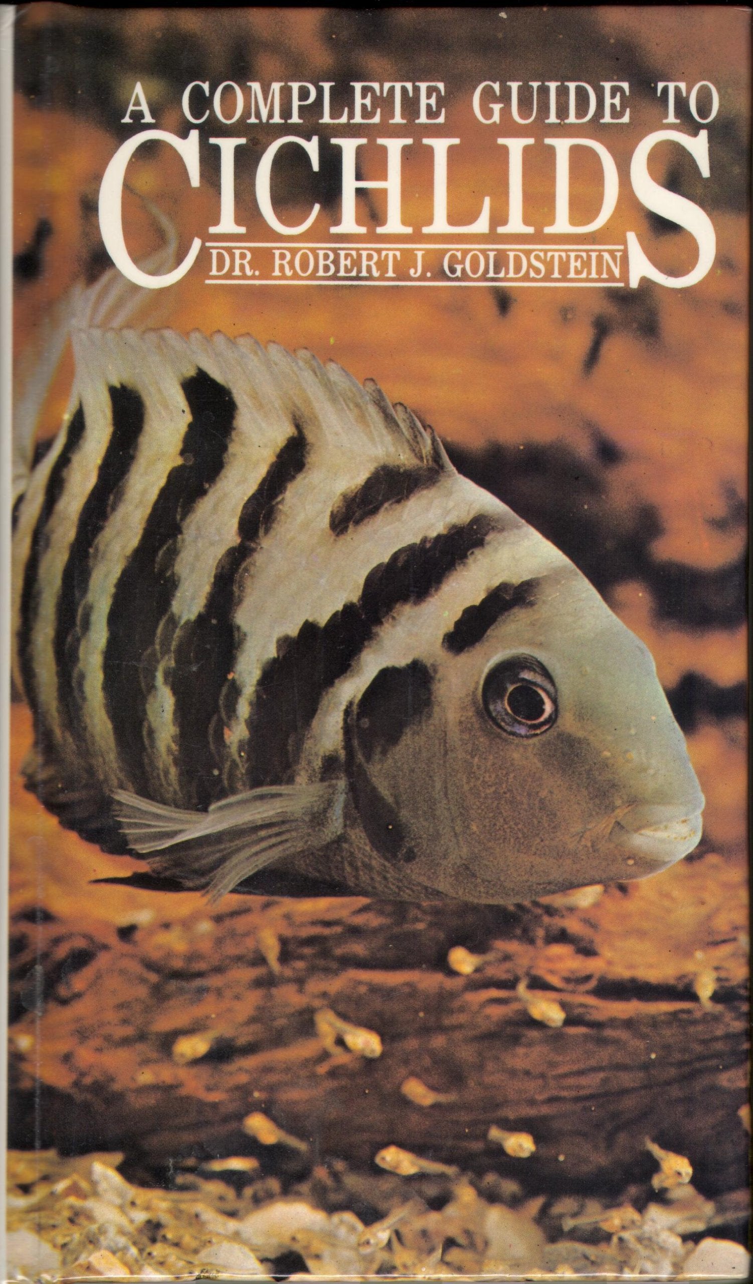 Complete Introduction to Cichlids,Used