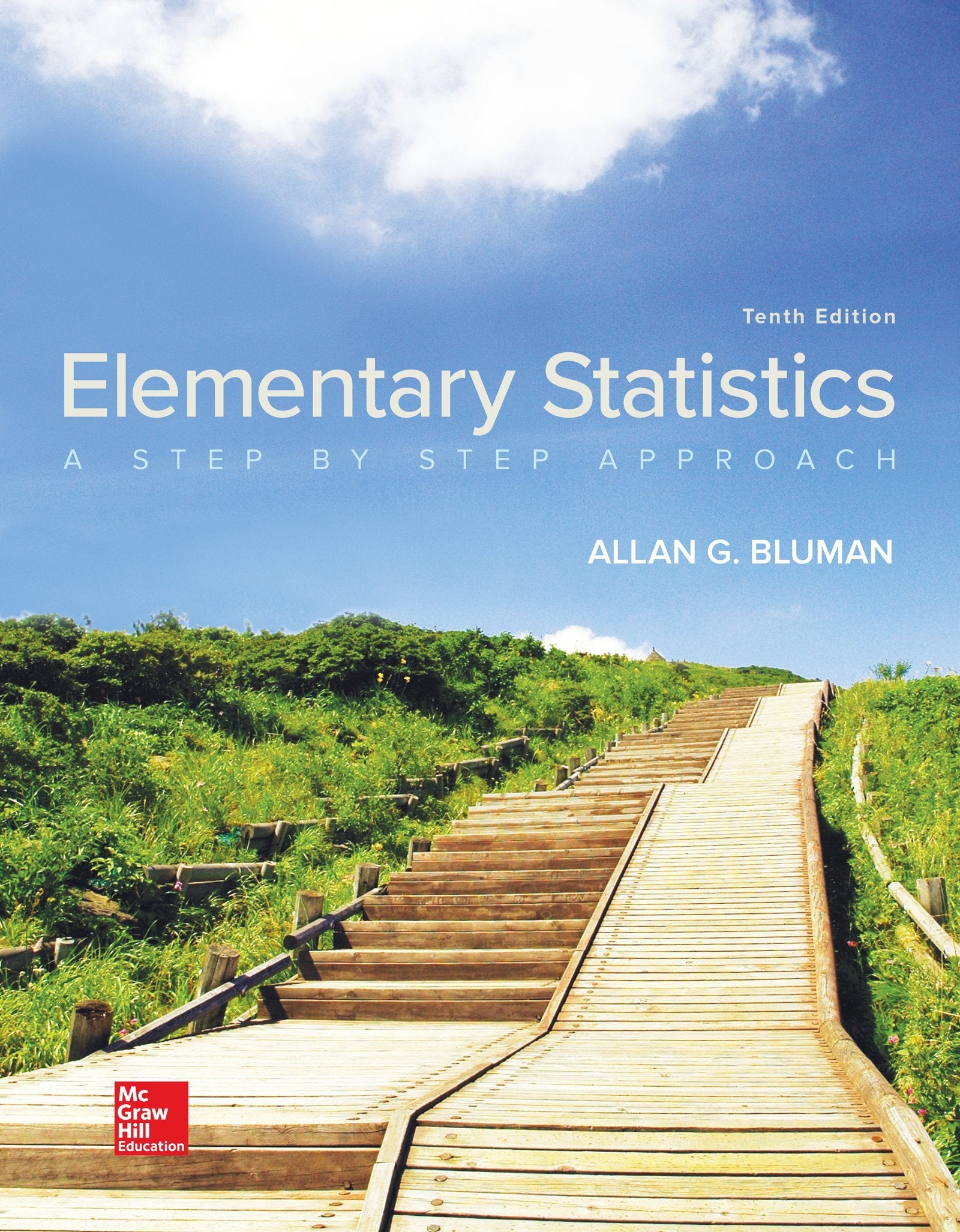 Loose Leaf for Elementary Statistics: A Step By Step Approach,Used