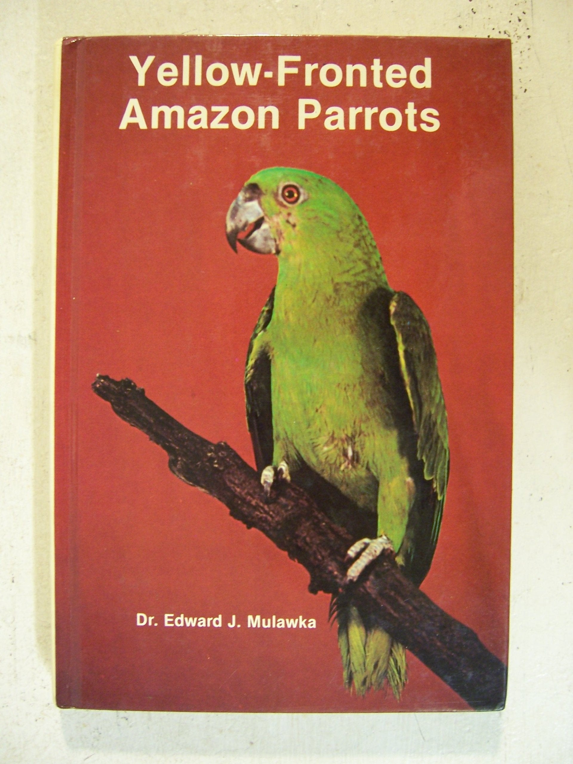 Yellowfronted Amazon Parrots,Used