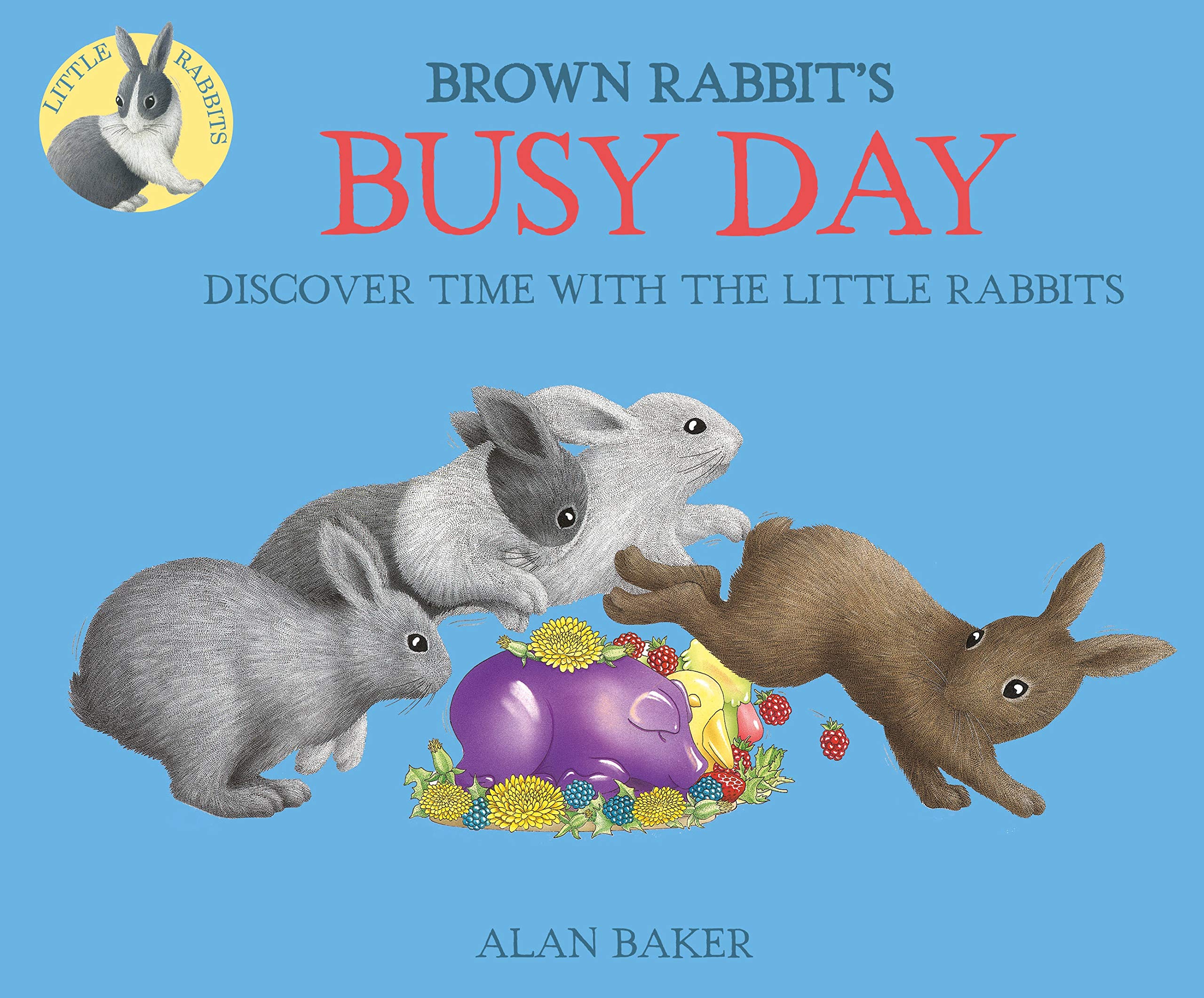 Brown Rabbit's Busy Day (Little Rabbit Books),Used