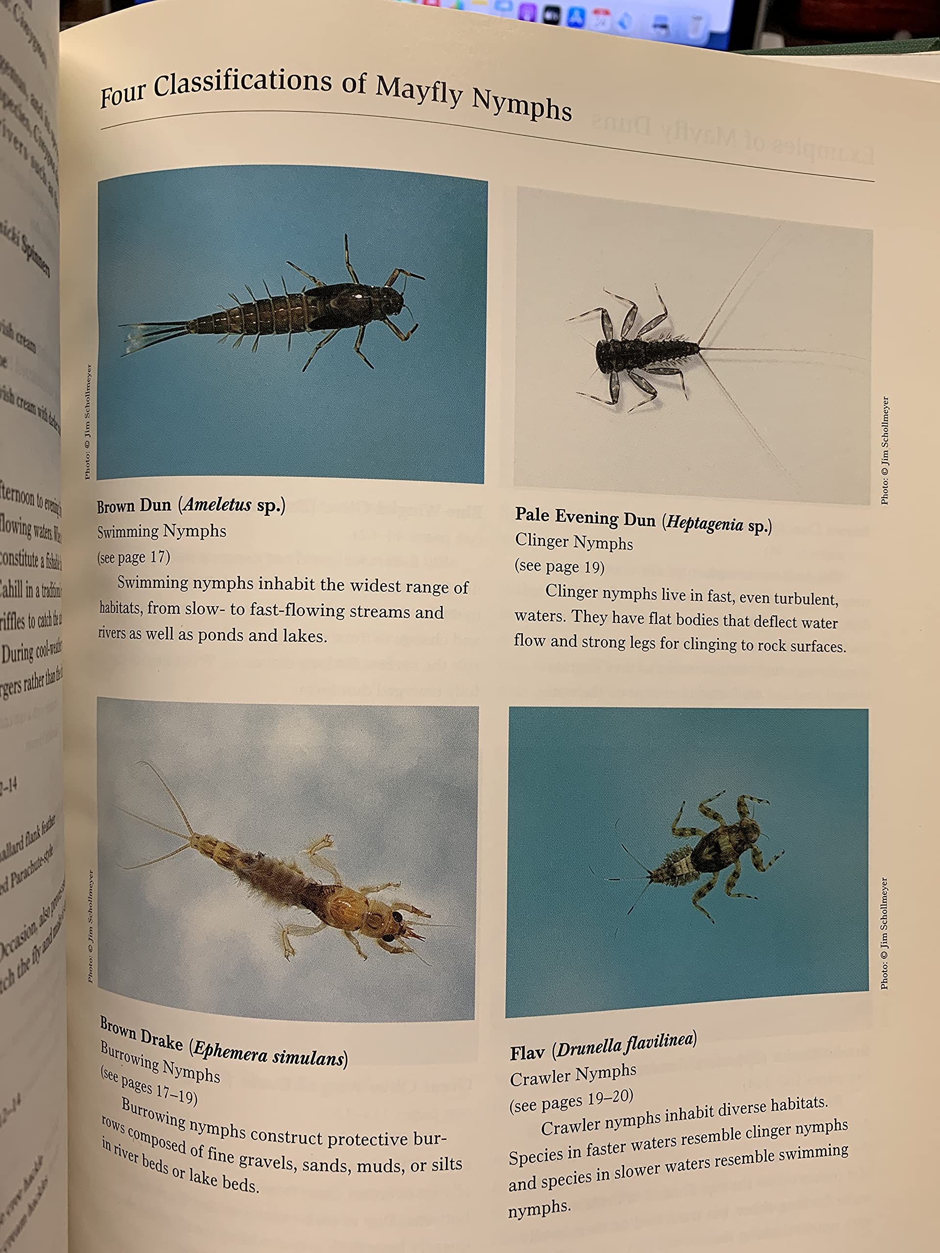 Mayflies: An Angler'S Study Of Trout Water Ephemeroptera,Used