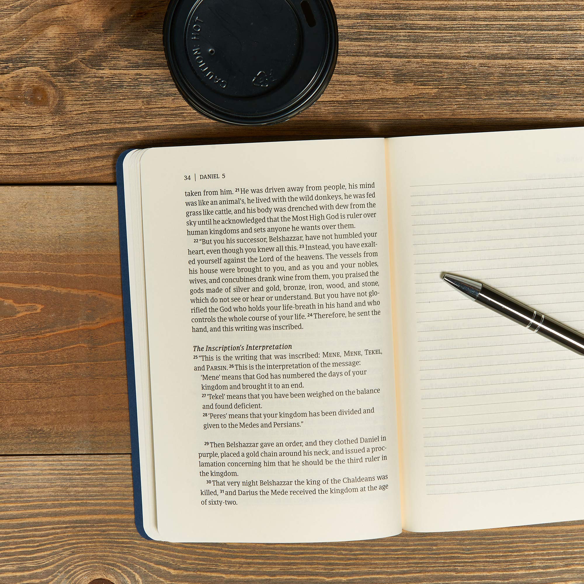 CSB Scripture Notebook, Daniel, Black Letter, SingleColumn, Notetaking, Journaling Space, Sermon Series, Personal Study, Concis,Used