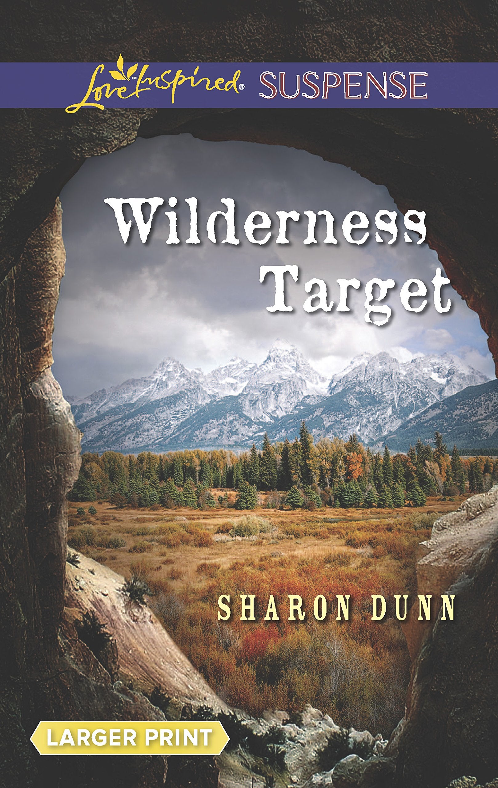 Wilderness Target (Love Inspired Suspense),Used