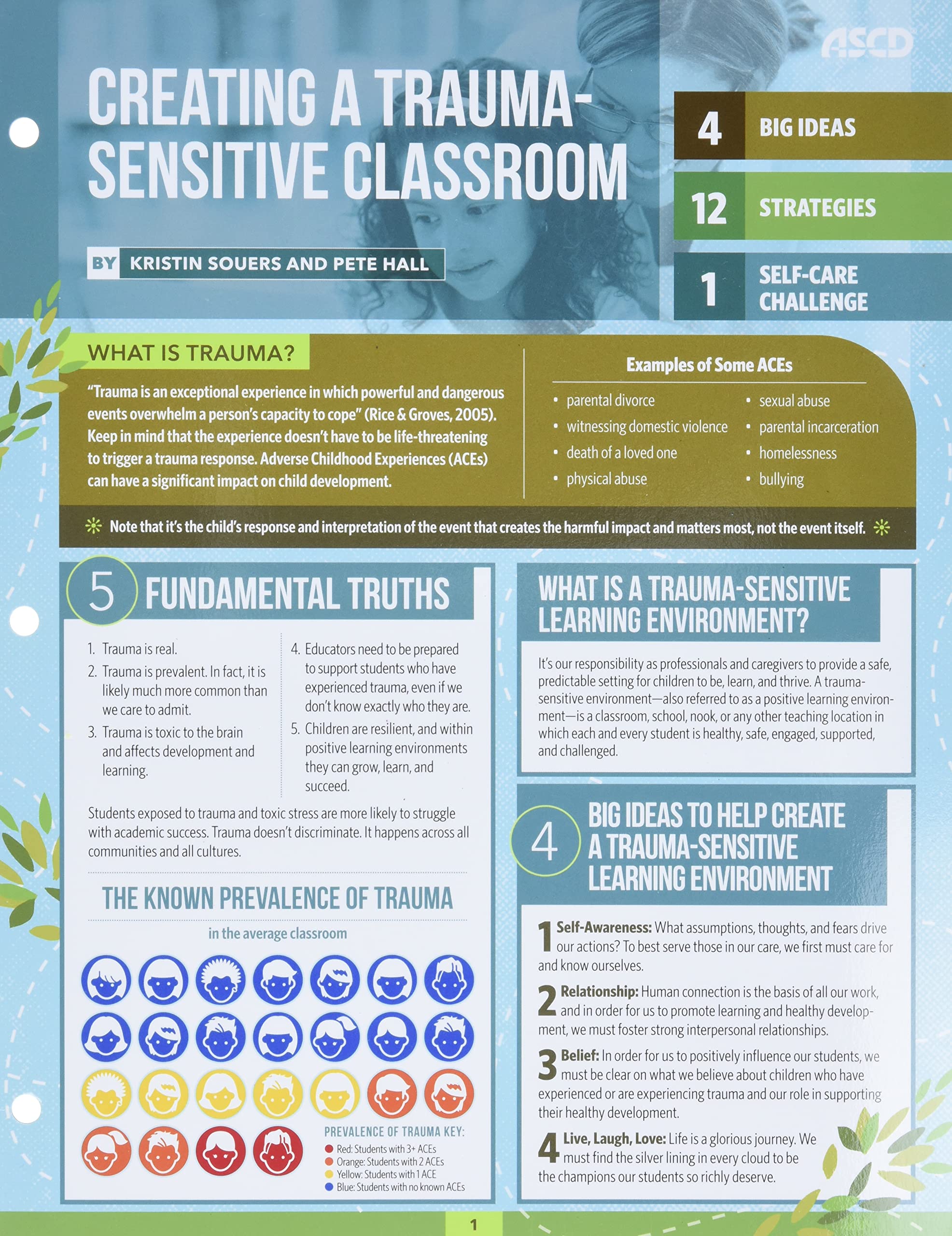 Creating a TraumaSensitive Classroom (Quick Reference Guide),Used