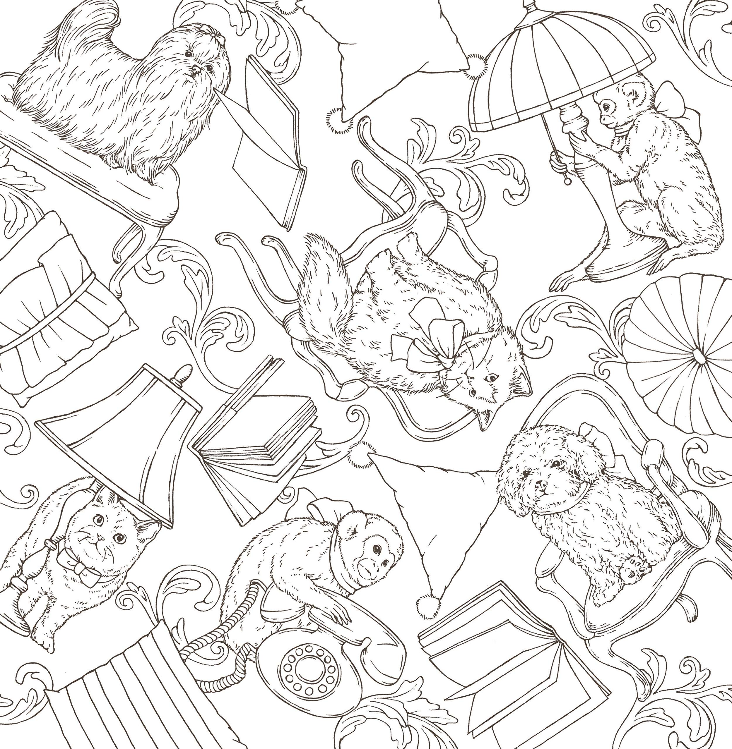 ??????????????? ~?????????????~ Symphony of Cute Animals(Coloring Book),New