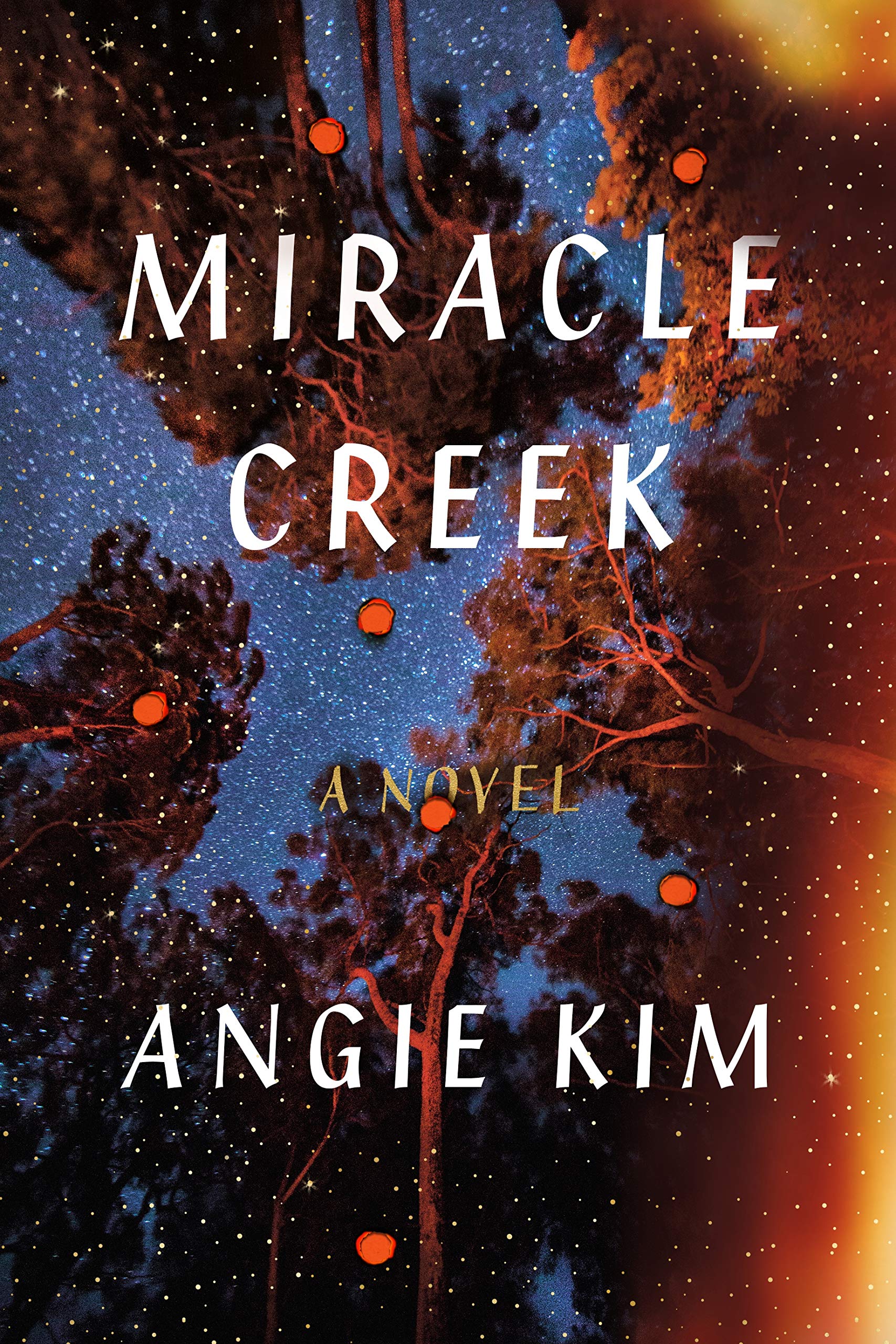 Miracle Creek: A Novel,New
