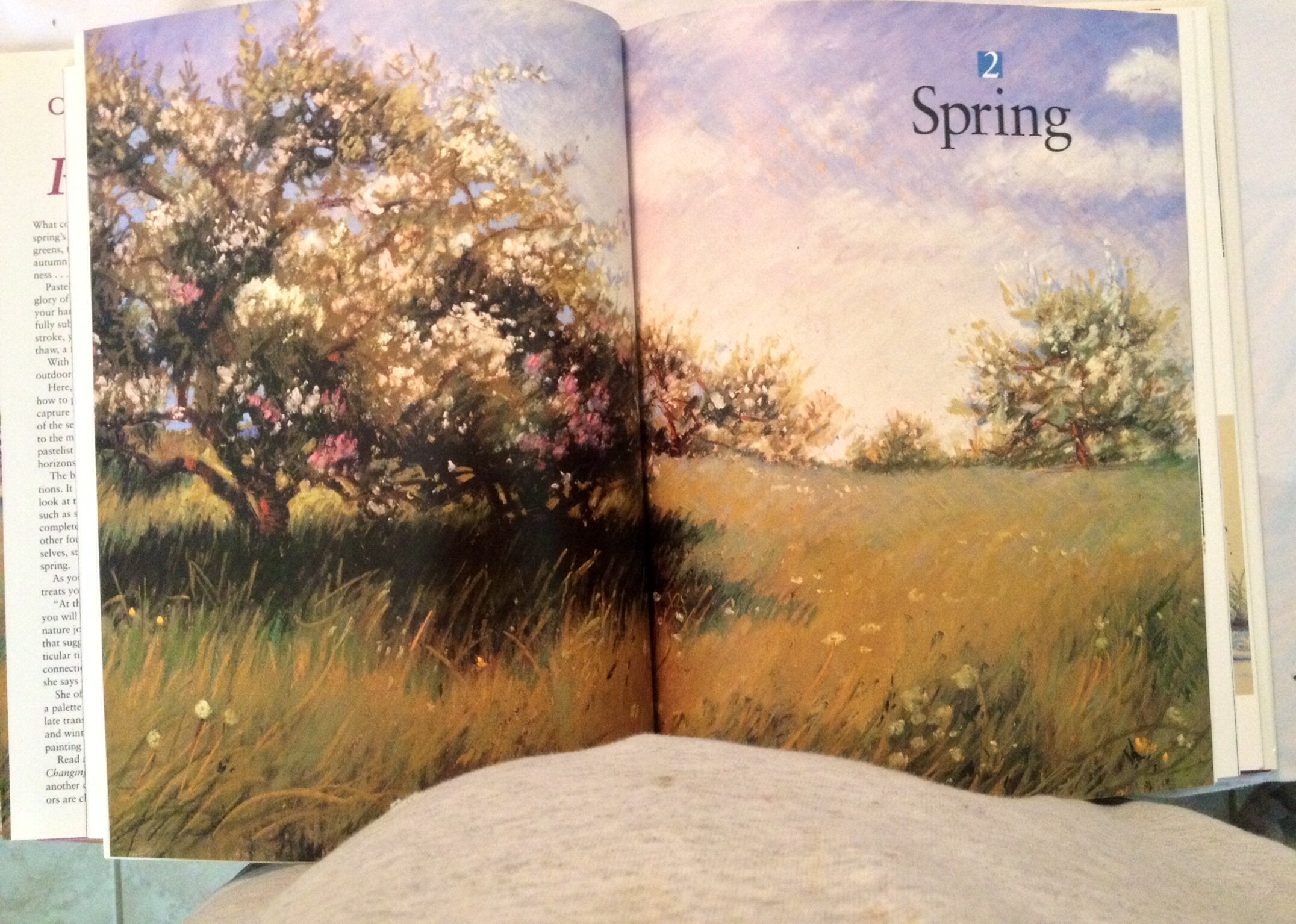 Paint the Changing Seasons in Pastel,New