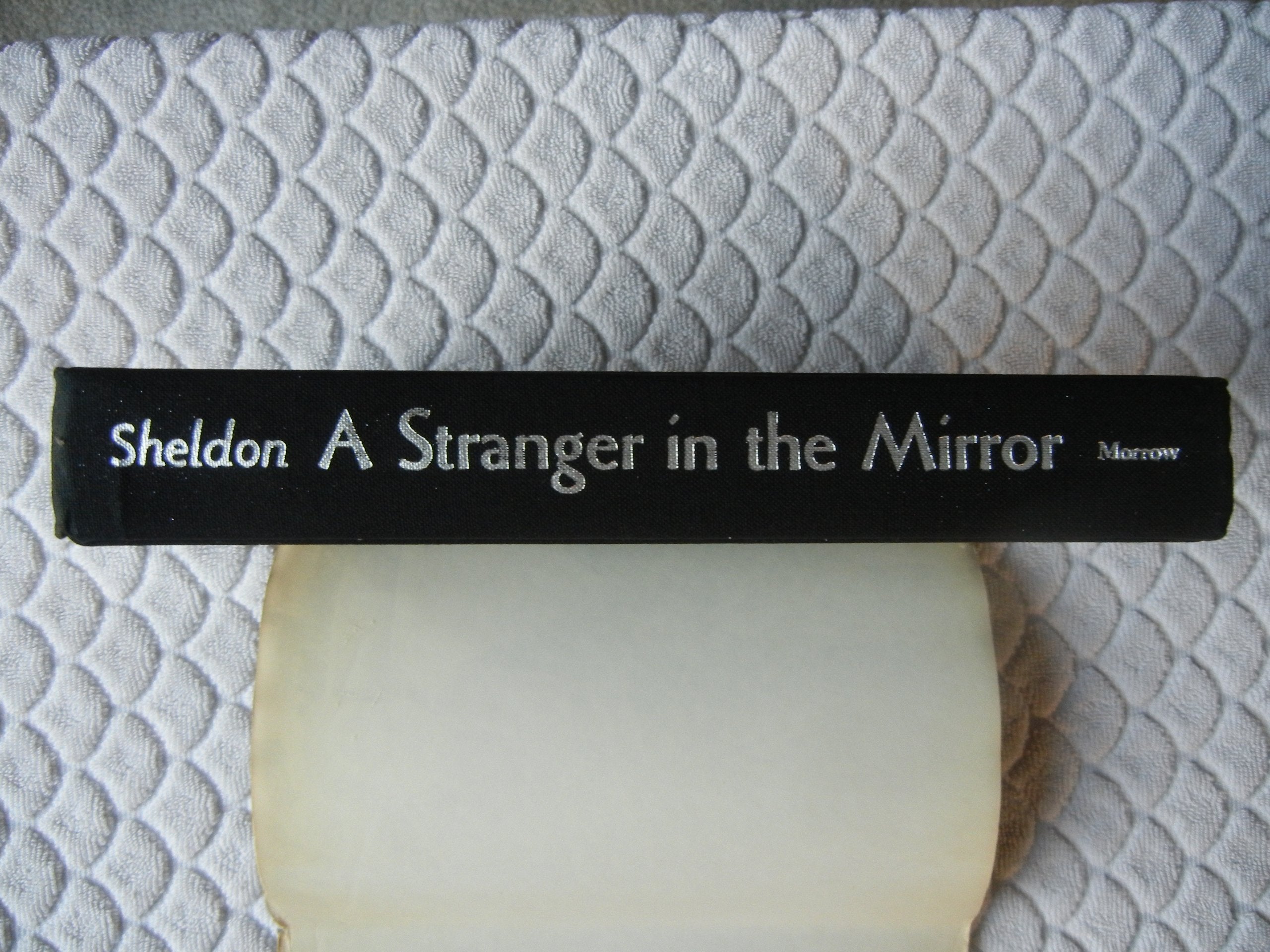 A Stranger In The Mirror,New