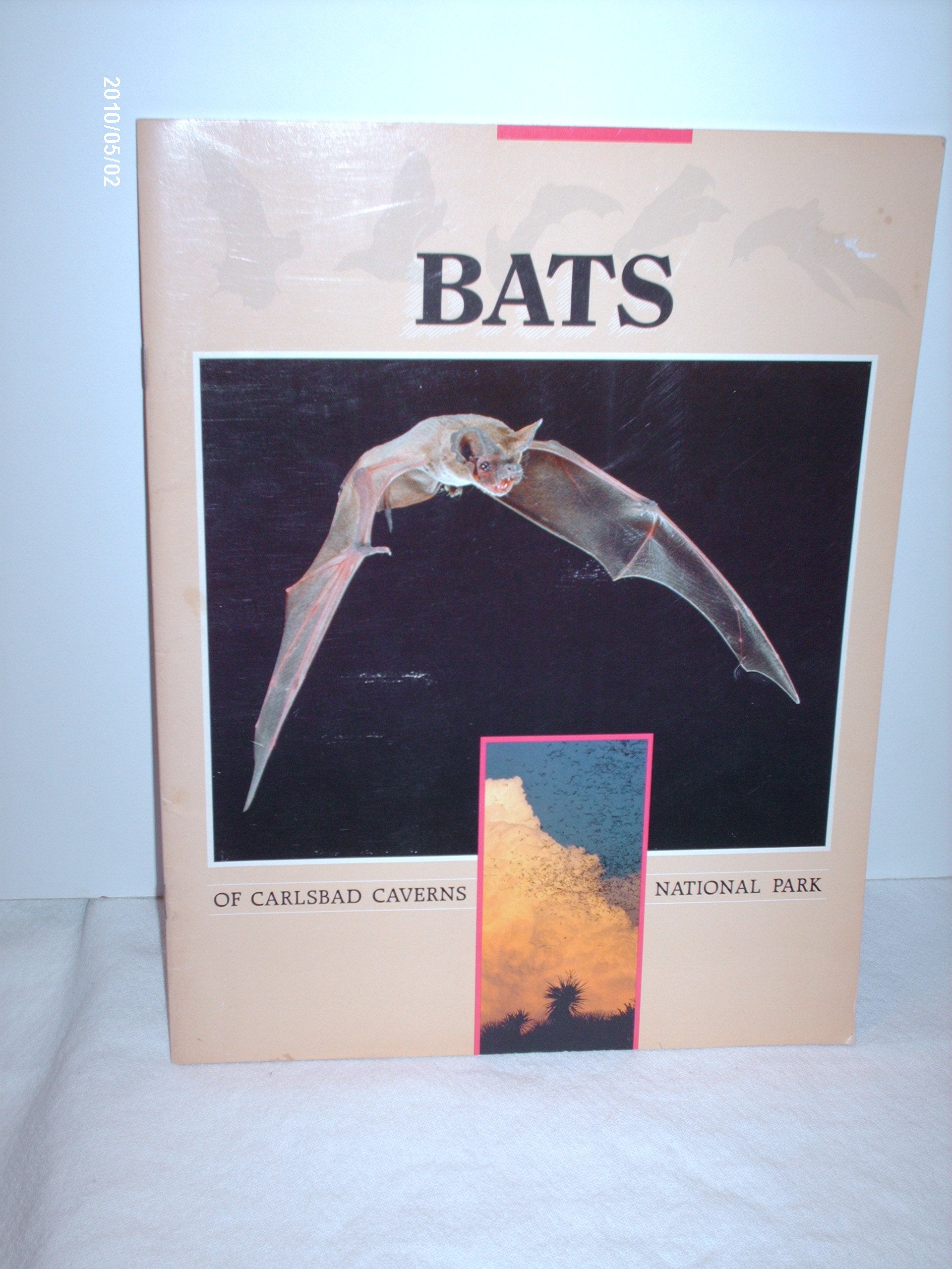 Bats of Carlsbad Caverns National Park,Used