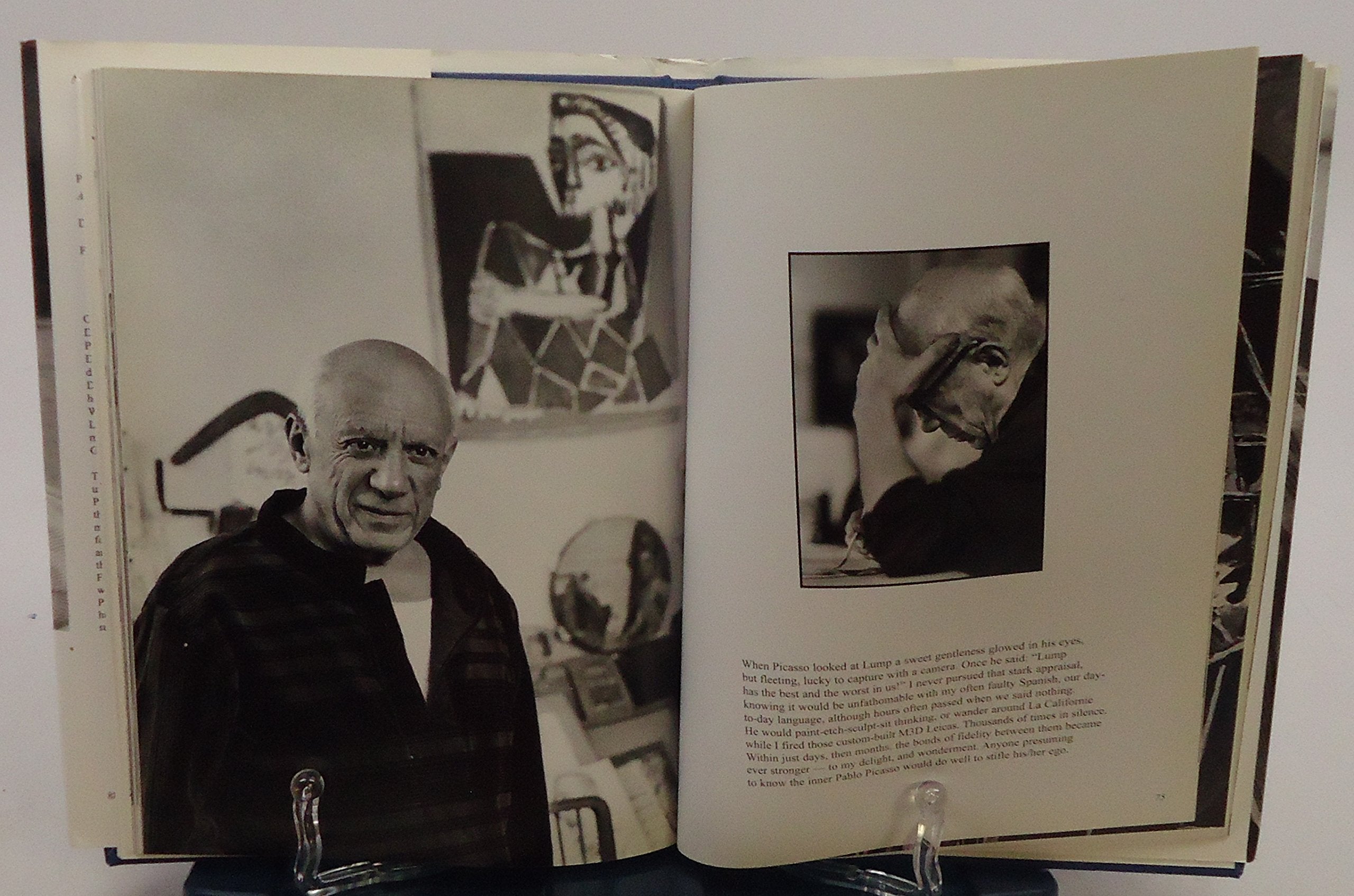 Picasso & Lump: A Dachshund's Odyssey,Used