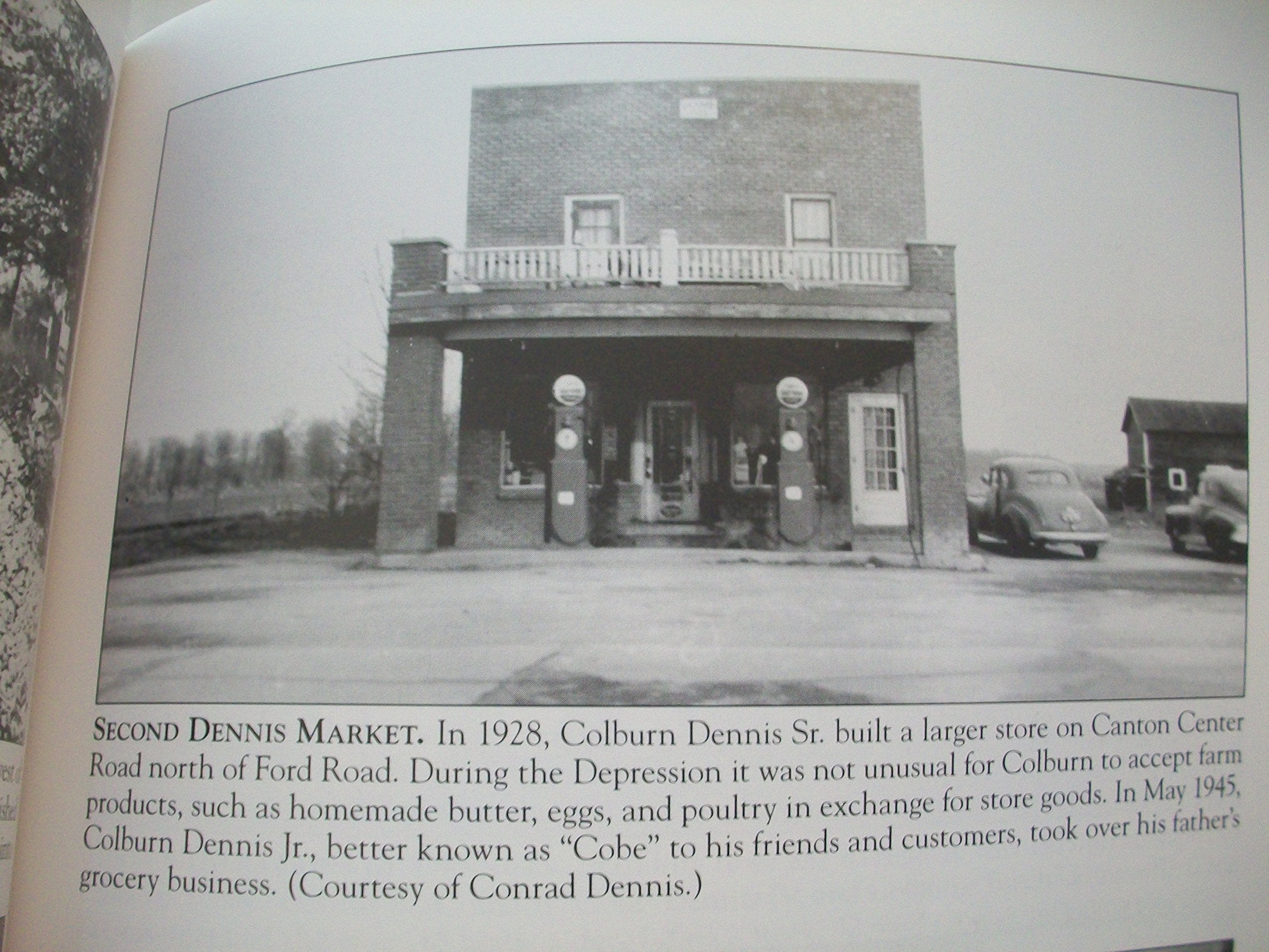 Canton Township (MI) (Images of America),Used