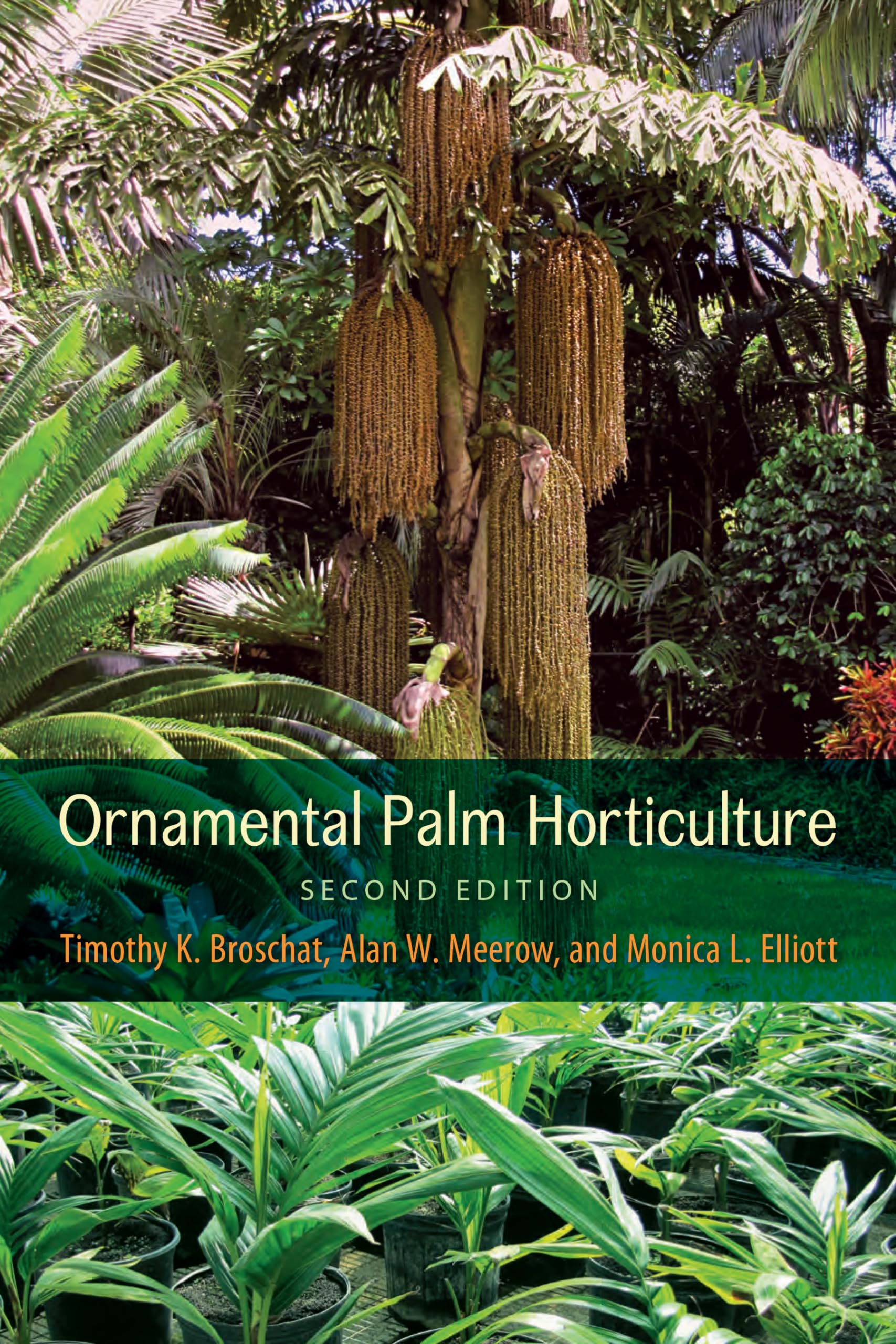Ornamental Palm Horticulture,Used