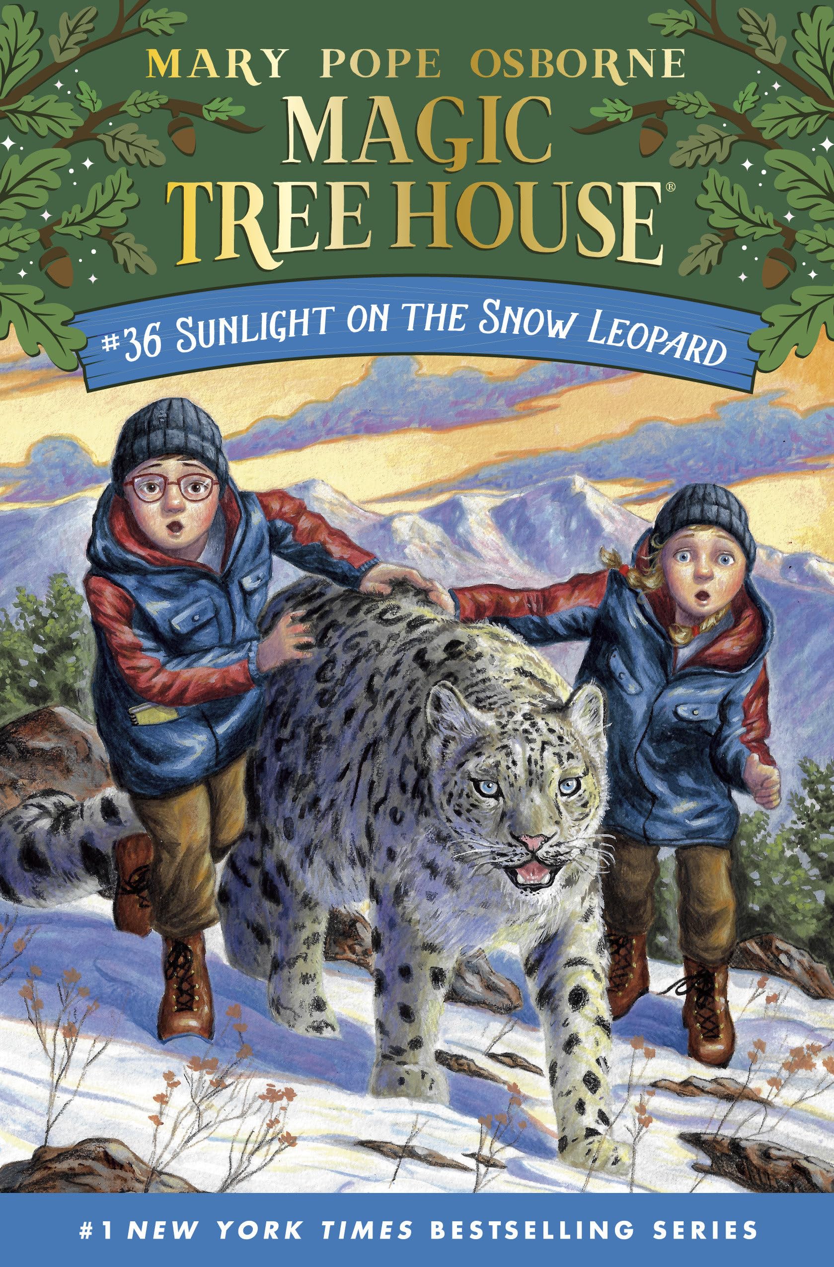Sunlight on the Snow Leopard (Magic Tree House),Used