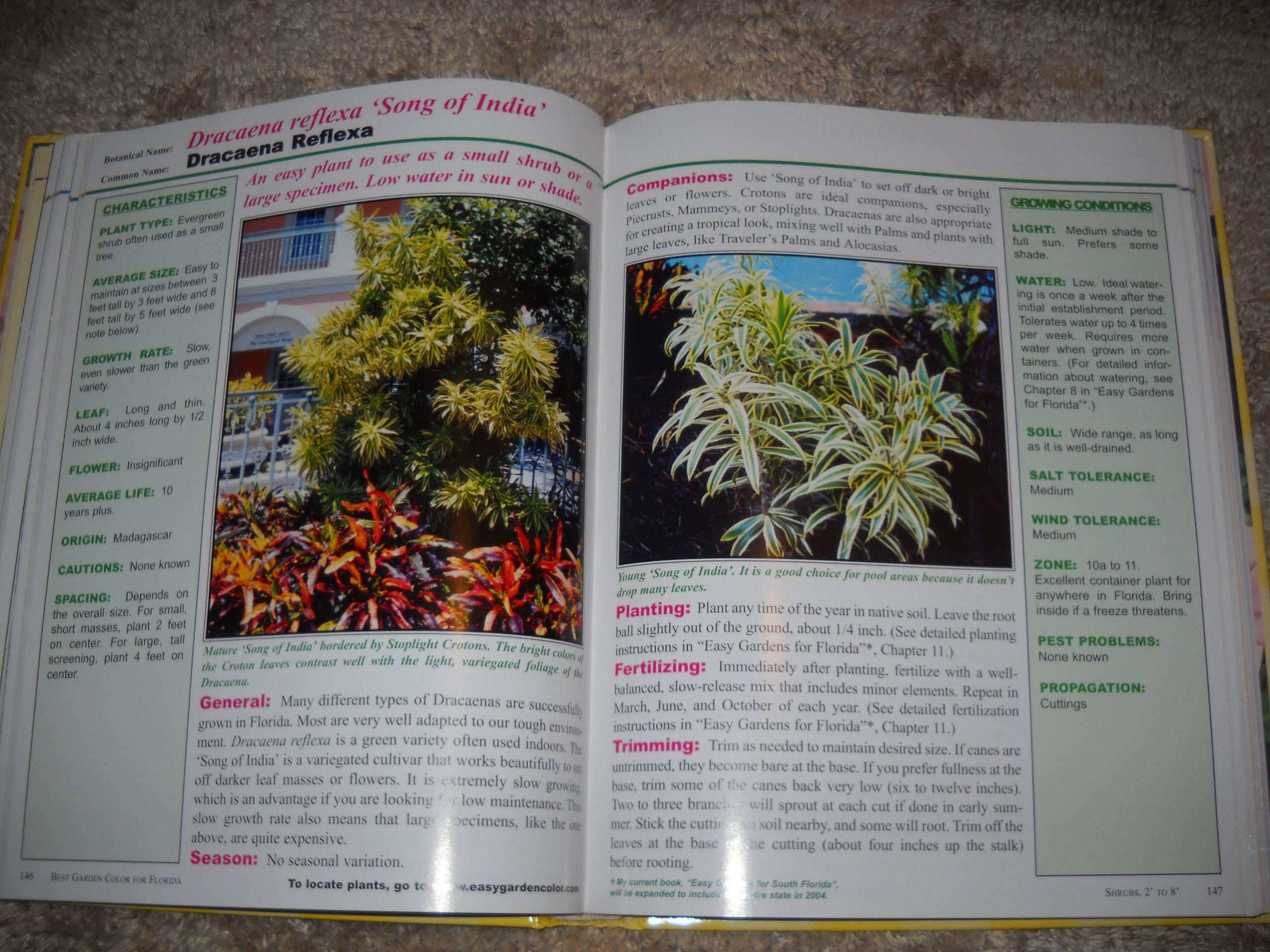 Best Garden Color for Florida,Used