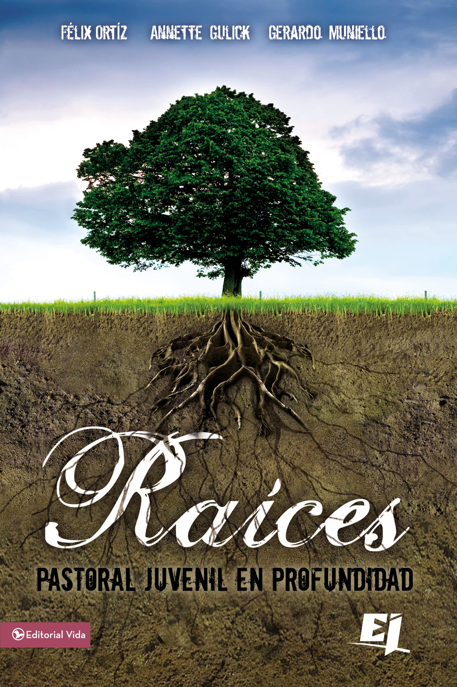 Races: Pastoral juvenil en profundidad (Especialidades Juveniles) (Spanish Edition),Used