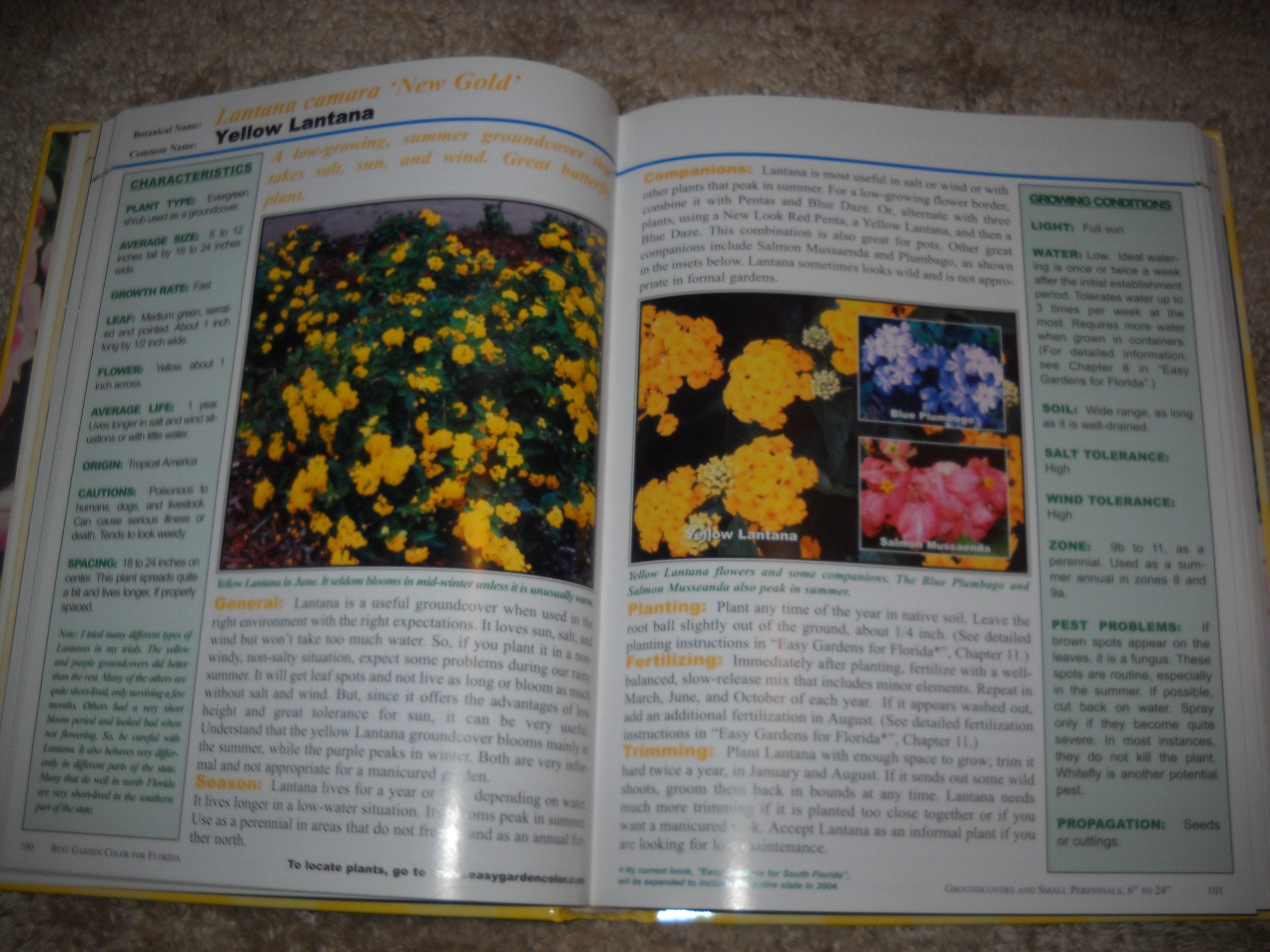 Best Garden Color for Florida,Used