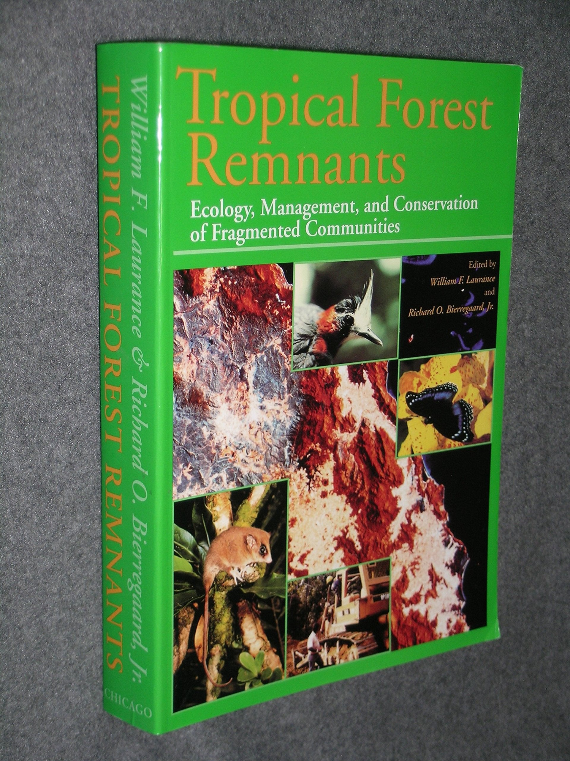 Tropical Forest Remnants: Ecology, Management, and Conservation of Fragmented Communities,Used