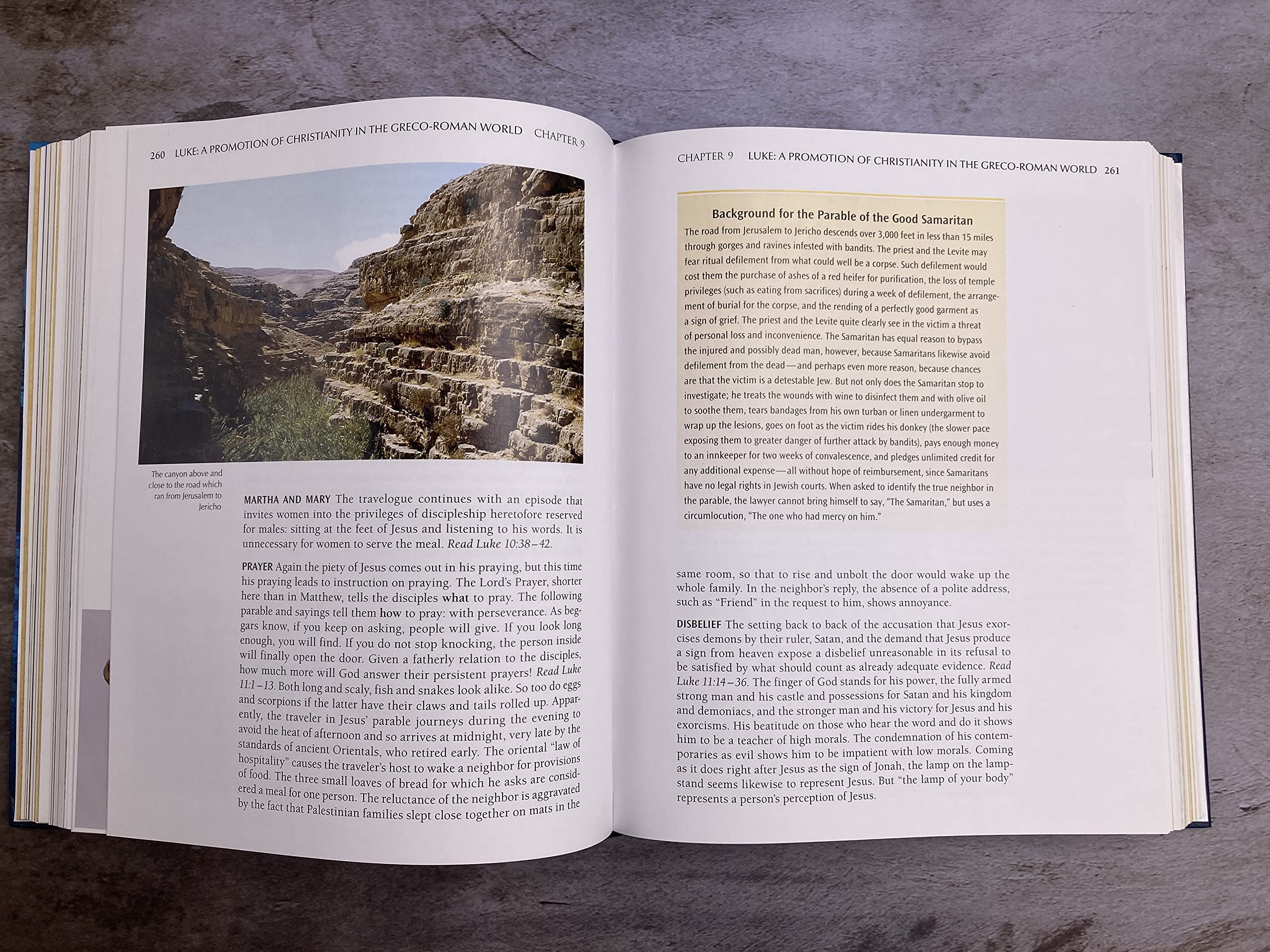 A Survey of the New Testament: 5th Edition,Used