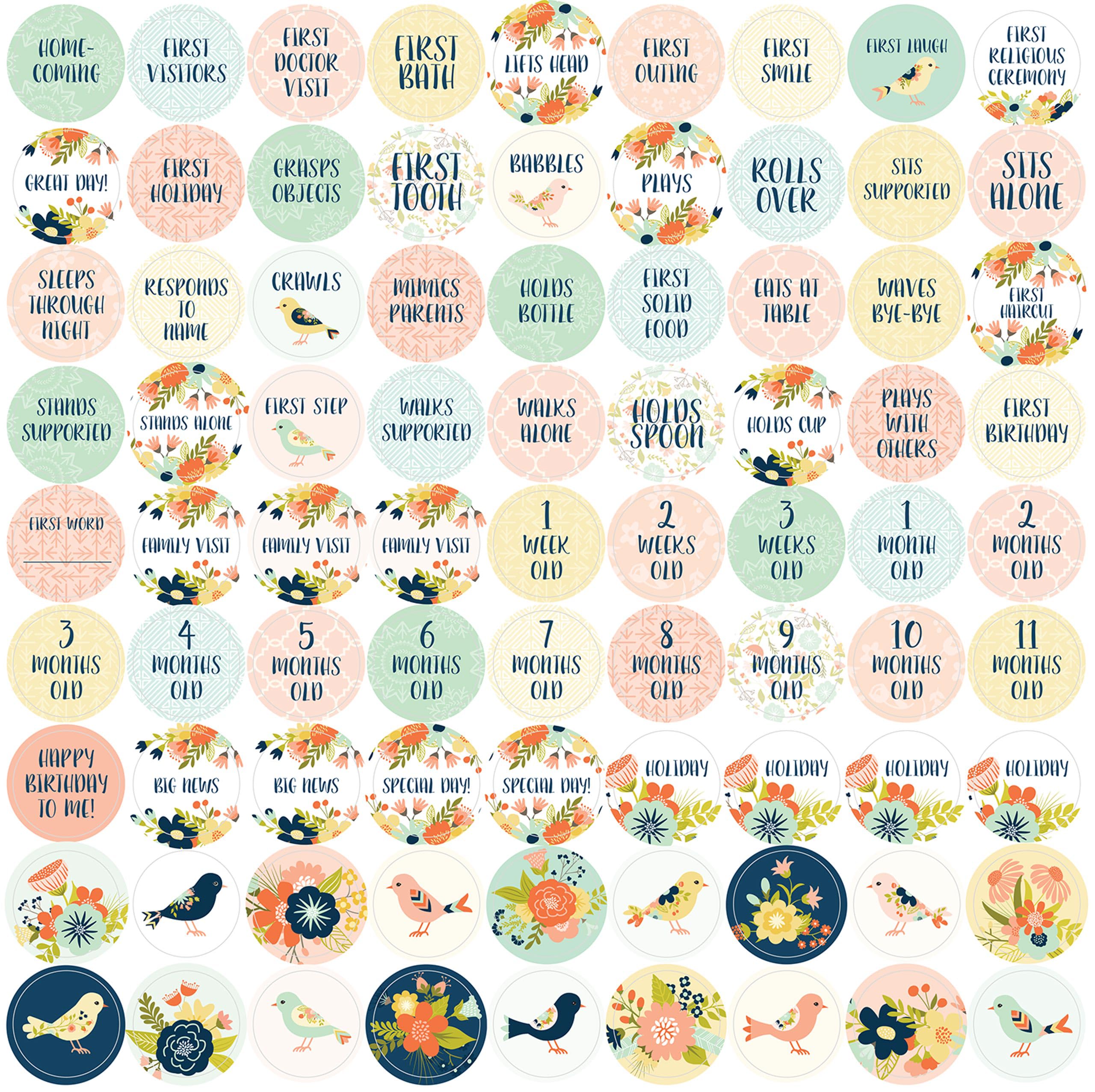 My Life as a Baby: A FirstYear Calendar (Birds),Used