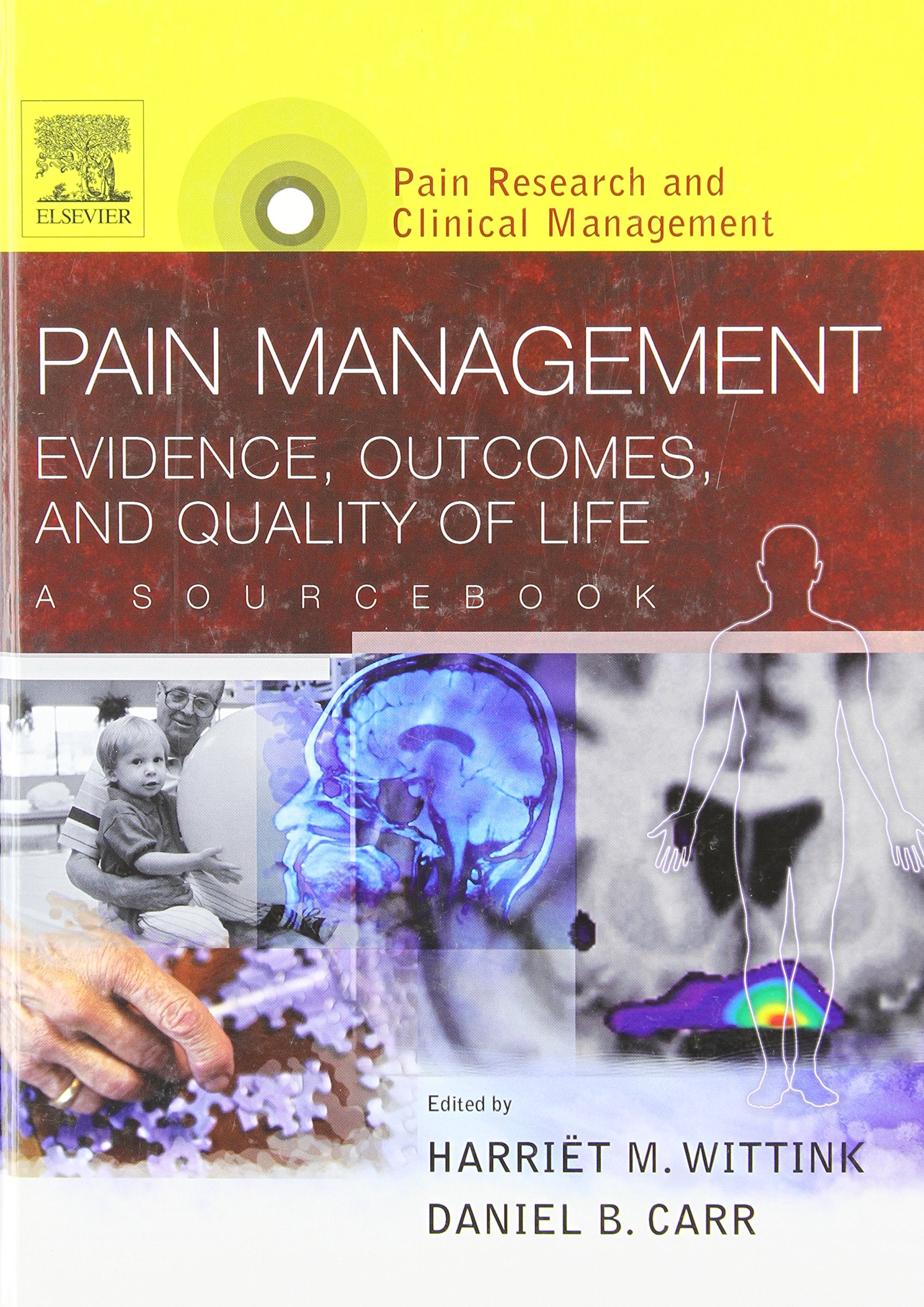 Pain Management: Evidence, Outcomes, and Quality of Life, A Sourcebook, Text with CDROM: Pain Research and Clinical Management ,Used