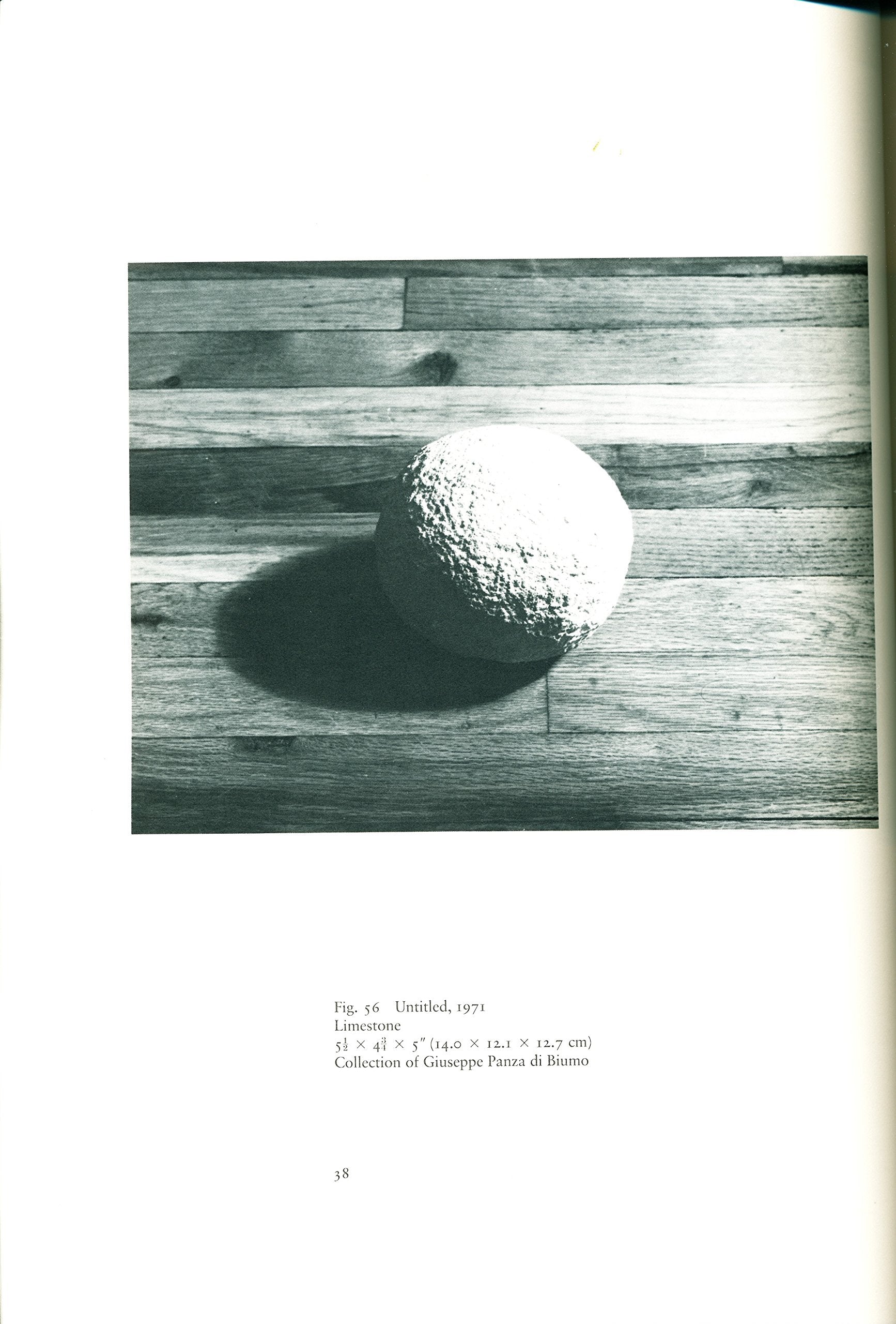 Joel Shapiro: Exhibition,New