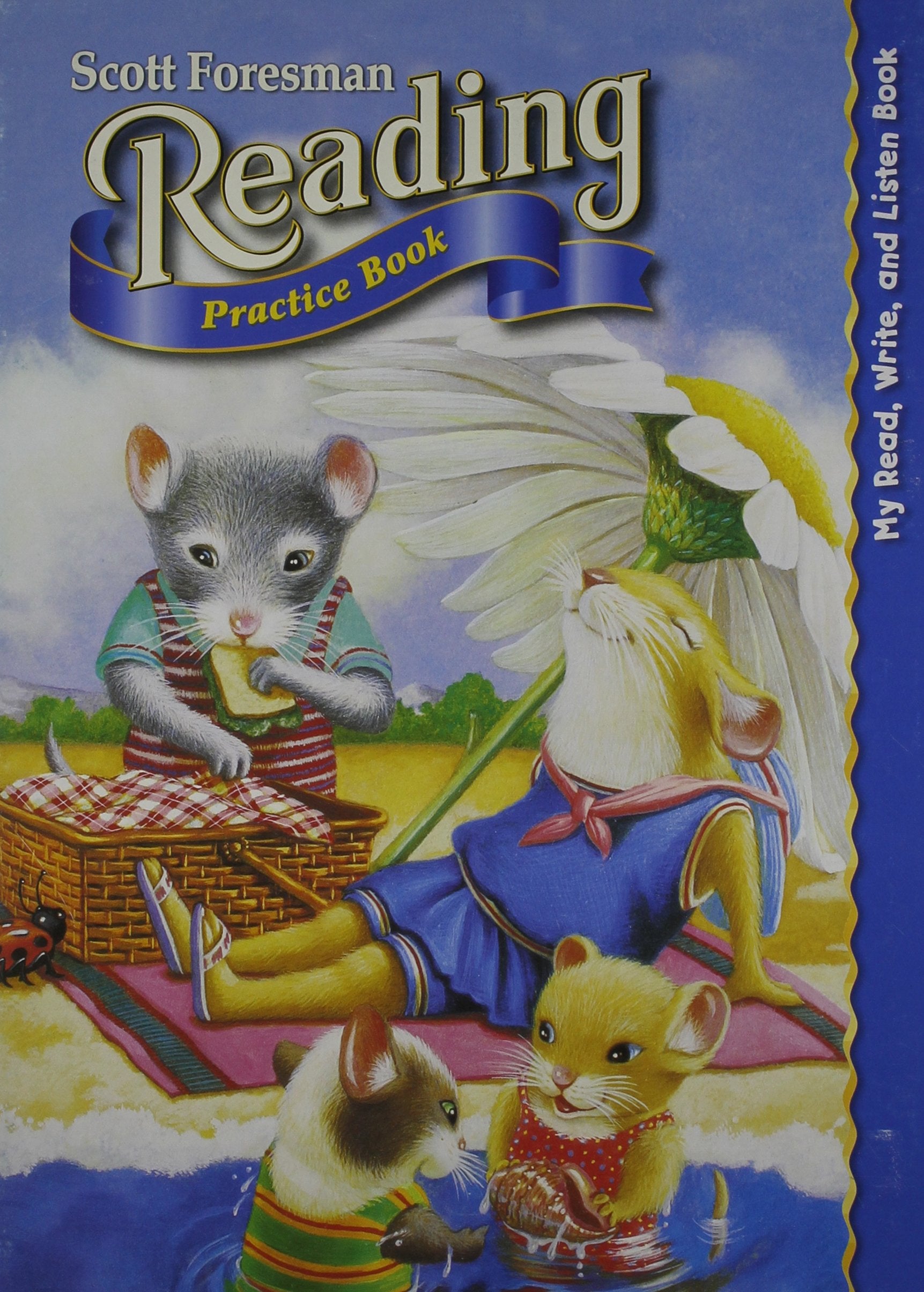 Reading 2004 Practice Book Grade 1.1,Used